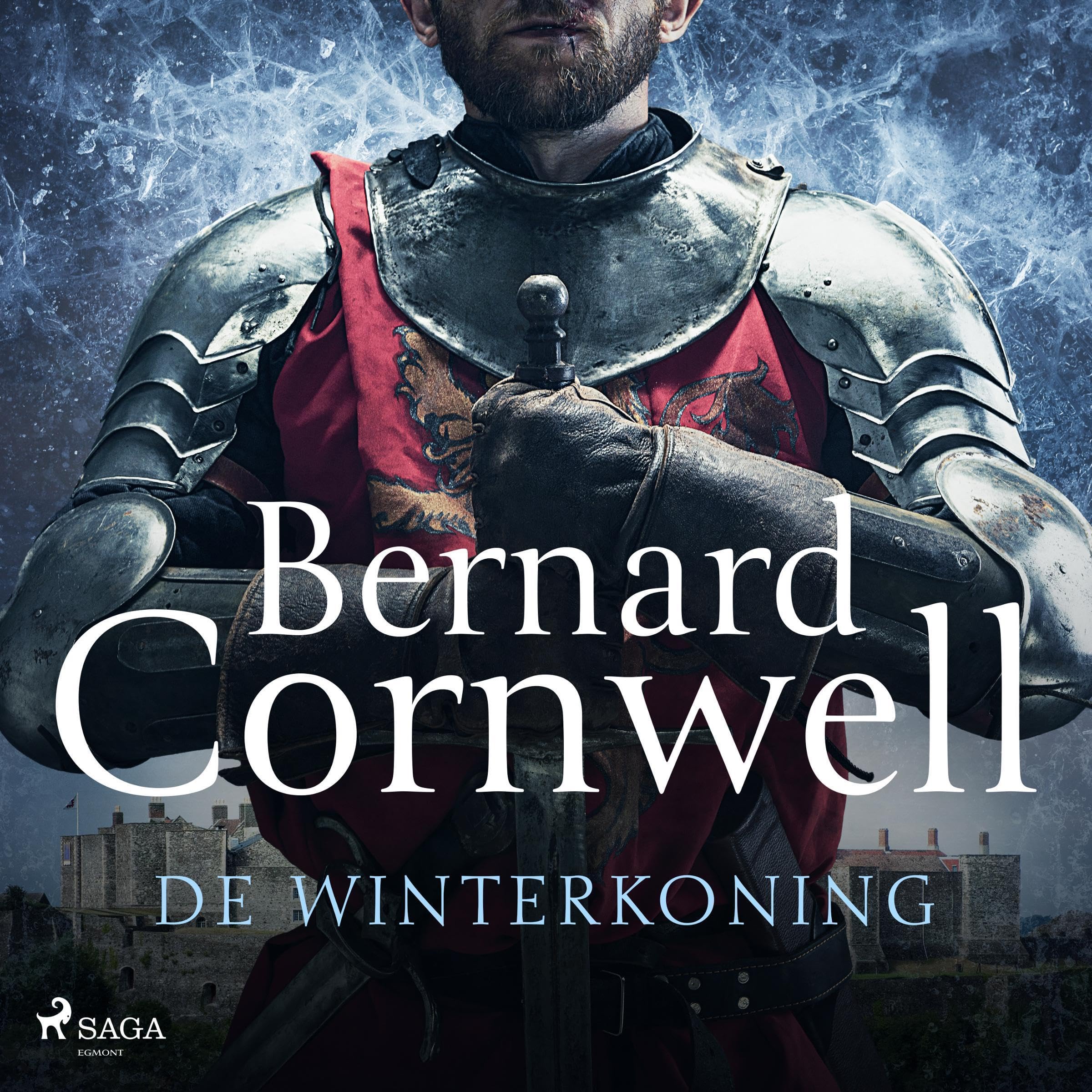 Cover art for De winterkoning