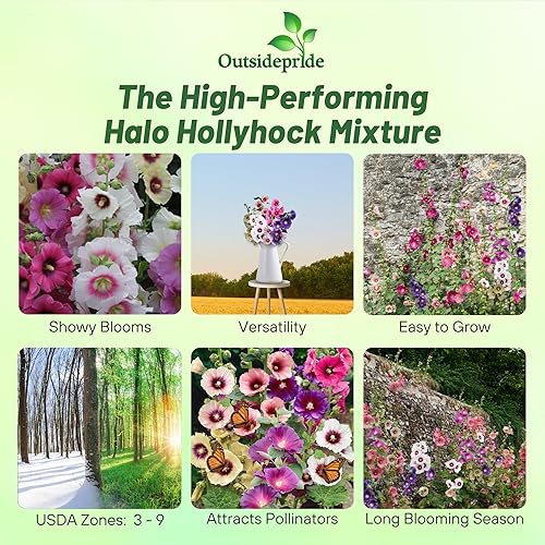Miniatura 2 de Outsidepride Mezcla de semillas de plantas de jardín Perennial Alcea Rosea Halo Mix - 25 semillas