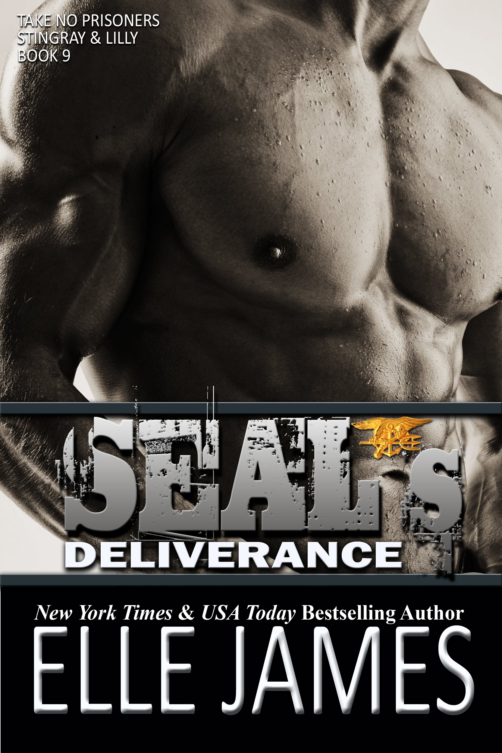 SEAL's Deliverance (Take No Prisoners Book 9)