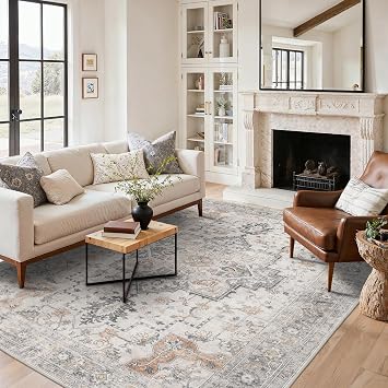BESBLEE 6x9 Area Rug for Living Room,Washable Non Slip, Light Taupe Brown