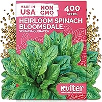 Vista 9 de KVITER 75 semillas de cucamelón para plantar (Melothria Scabra) – Semillas de pepinillo agrio mexicano, pepino de pepinillo, mini sandía mexicana