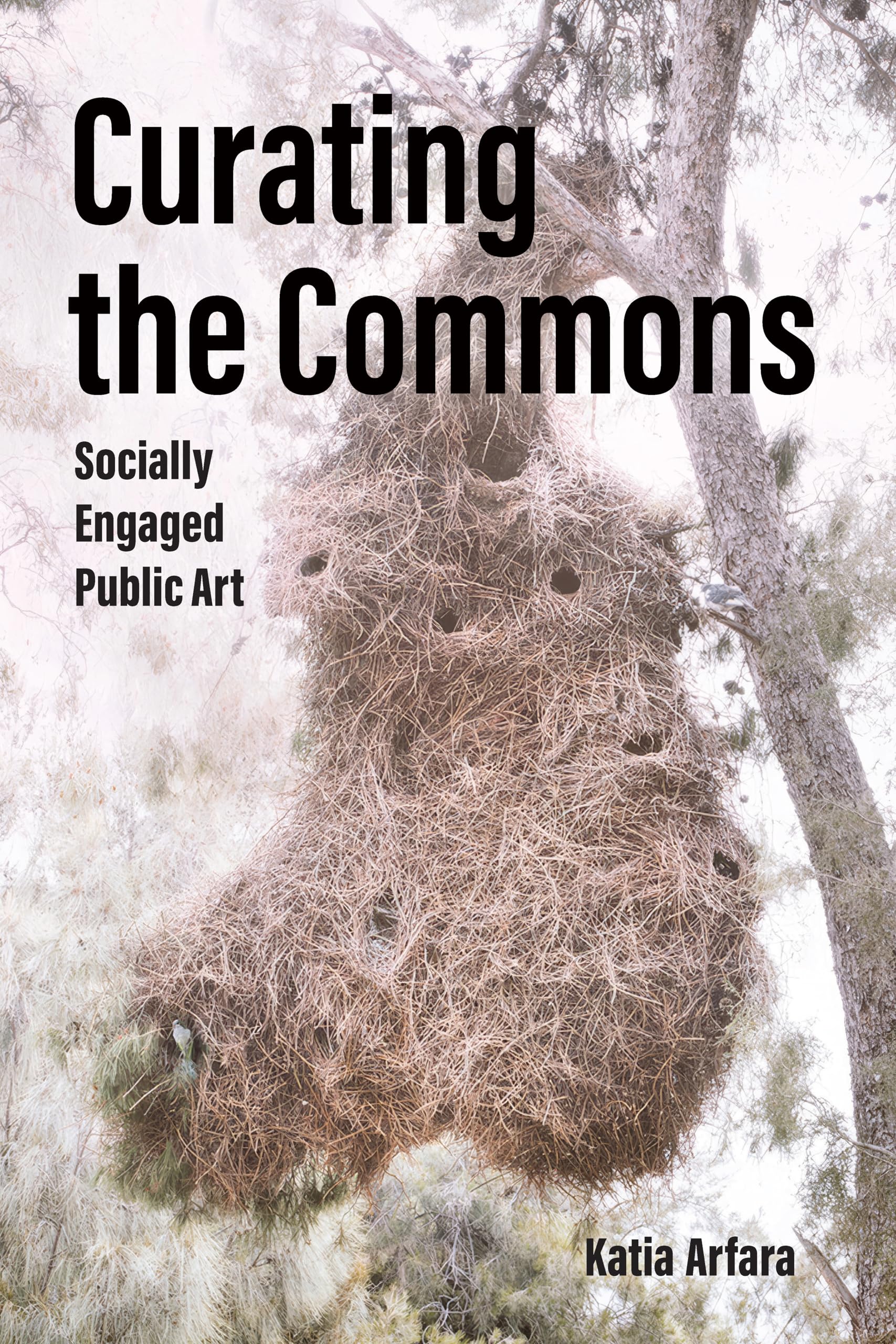 Art public engagé : Curating the Commons livre anglais art contemporain