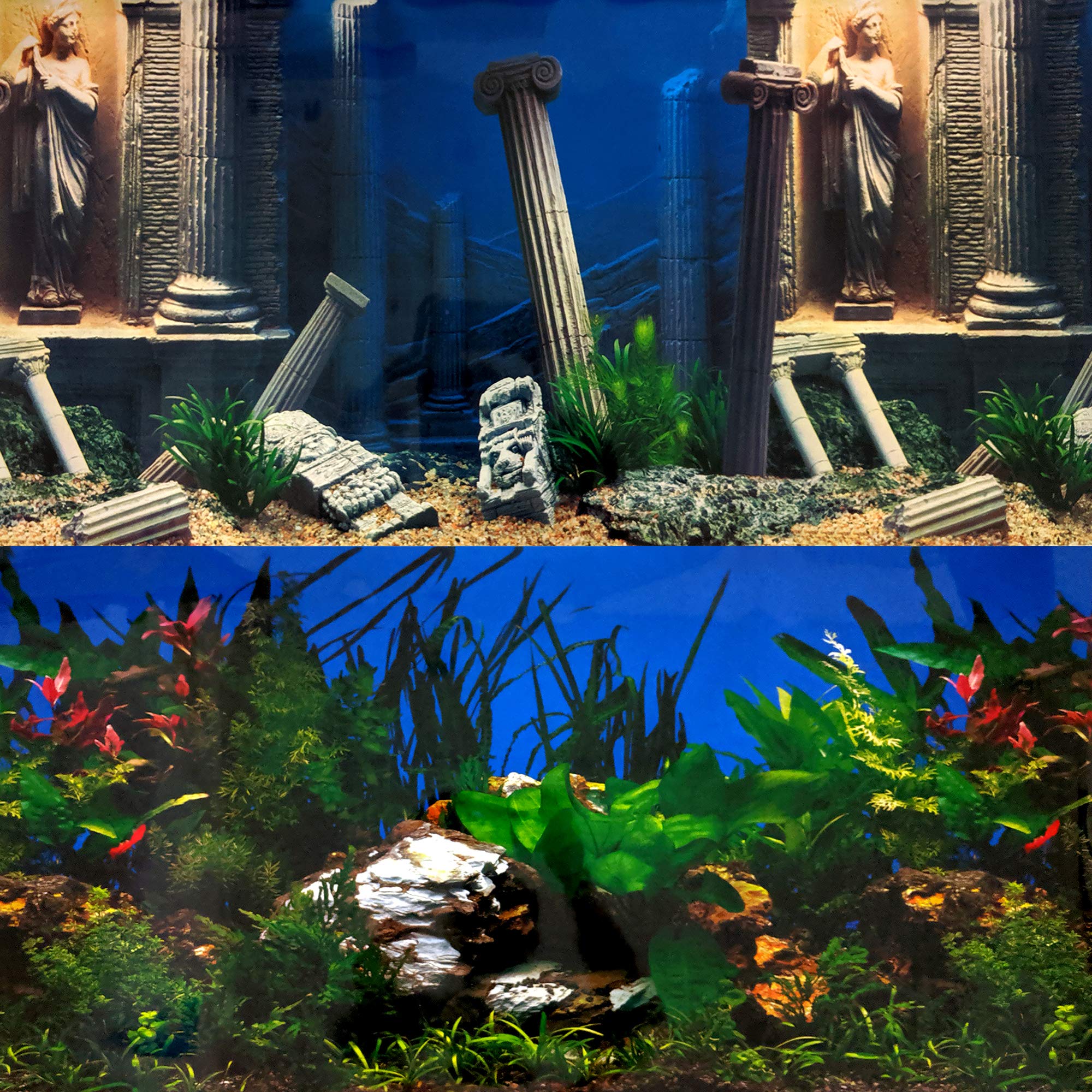 Aquadistri Superfish Poster #5 Reversible Ancient Ruins/Plants Aquascape Background (150cm x 49cm)