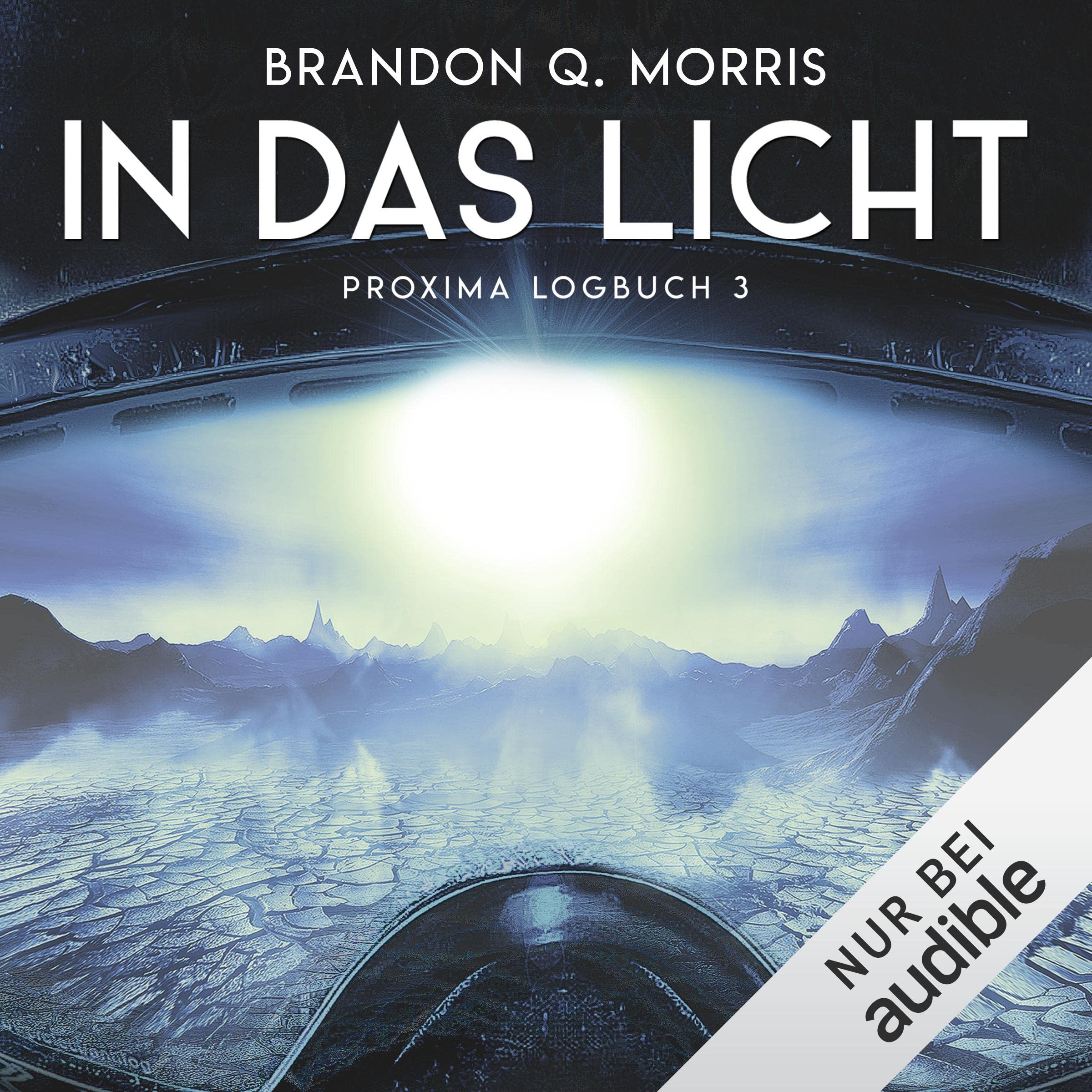 Cover art for In das Licht