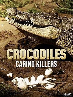 Crocodiles: Caring Killers