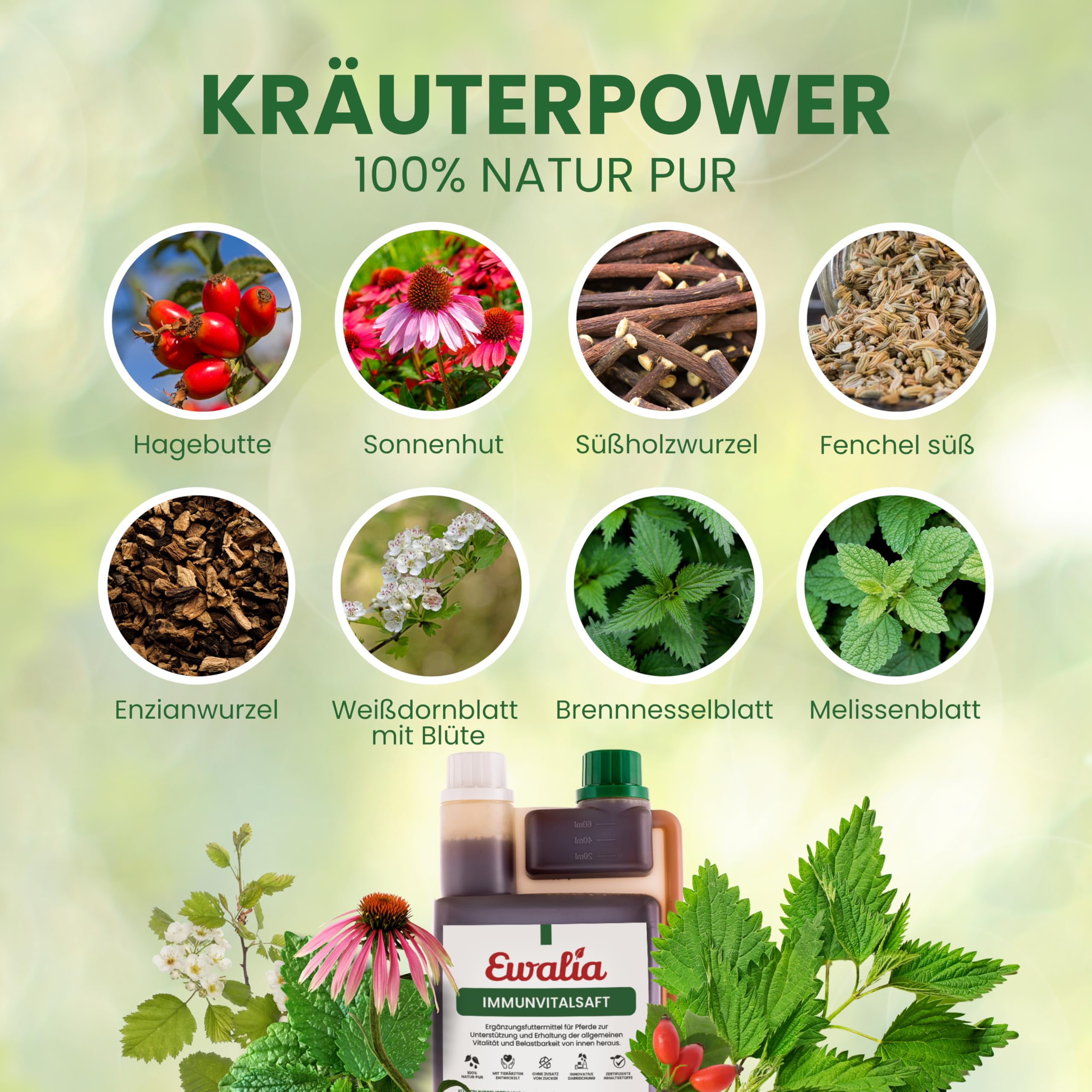 EWALIA Immunvitalsaft | Doppelpack | 2 x 1 l | Ergänzungsfuttermittel für Pferde | Mit Hagebutte & Sonnenhut