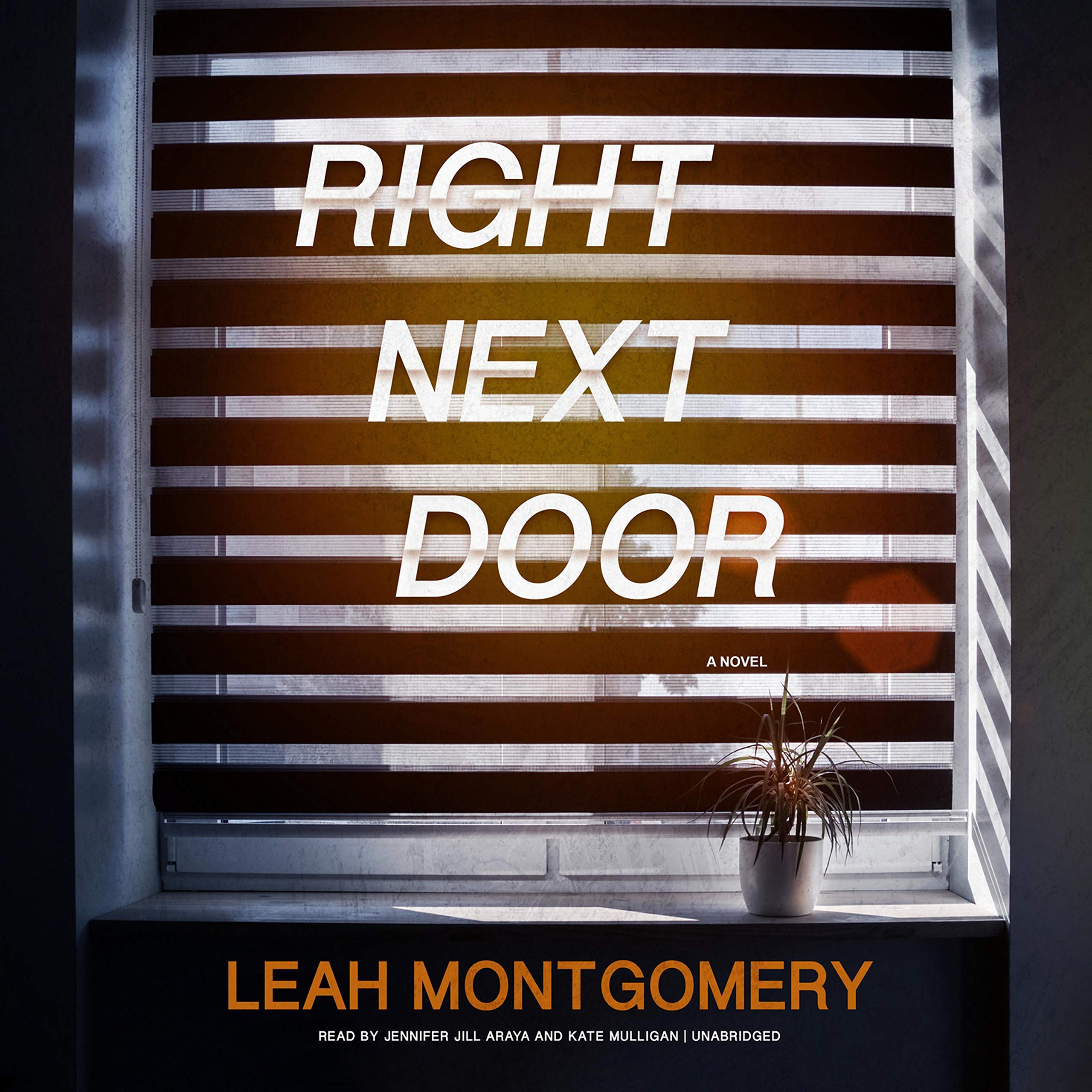 Cover art for Right Next Door: A Novel