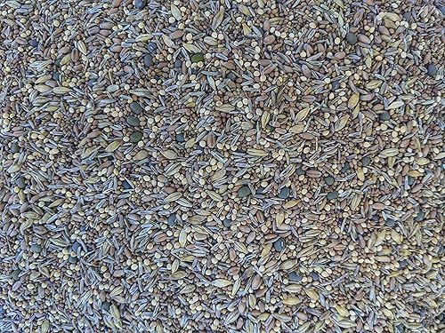 Miniatura 5 de Semillas de forraje y forraje de pollo prémium para aves de corral (bolsa de 1 libra) - 33% cada uno tréboles, suplementarios, granos