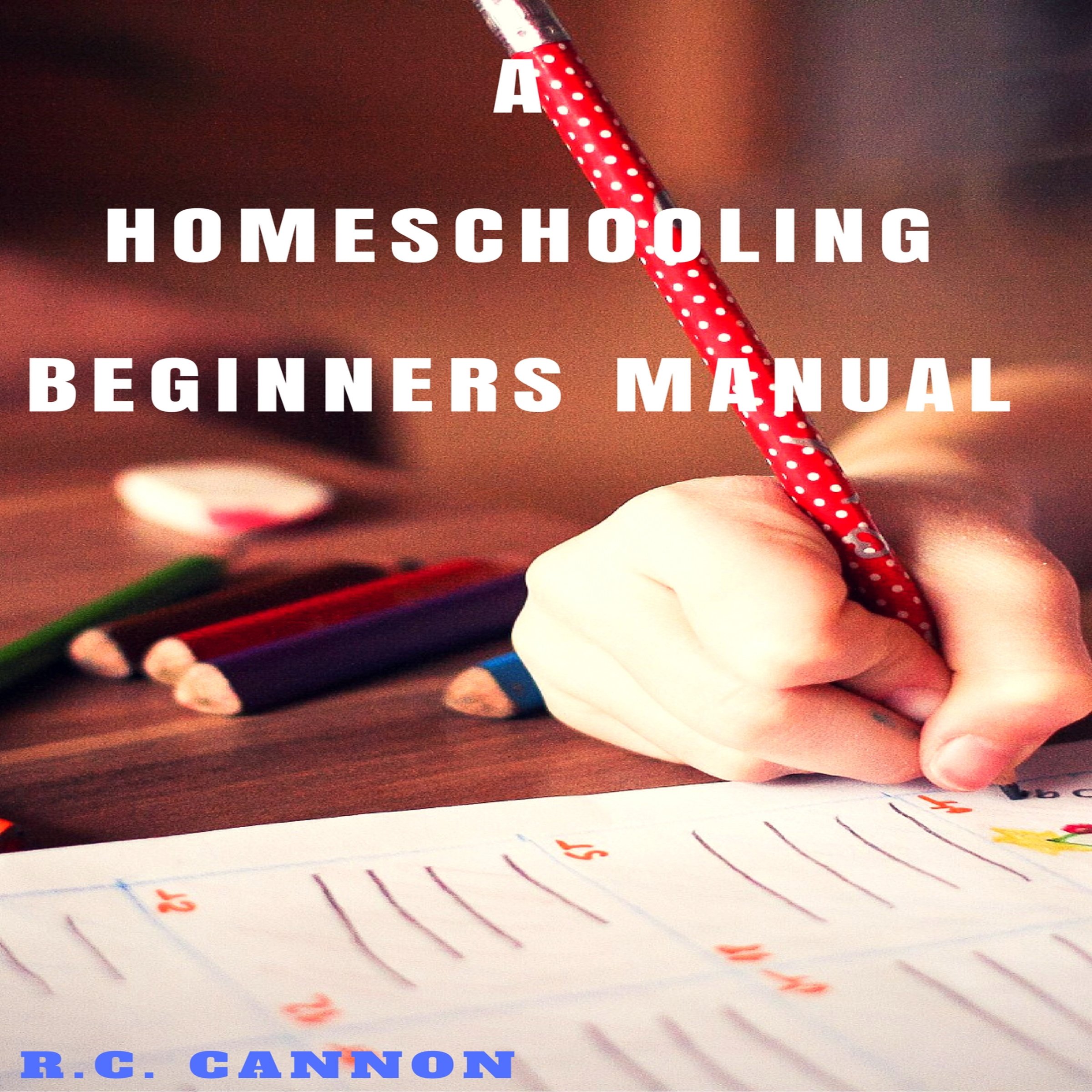 A Homeschooling Beginners Manual (Volume 1)