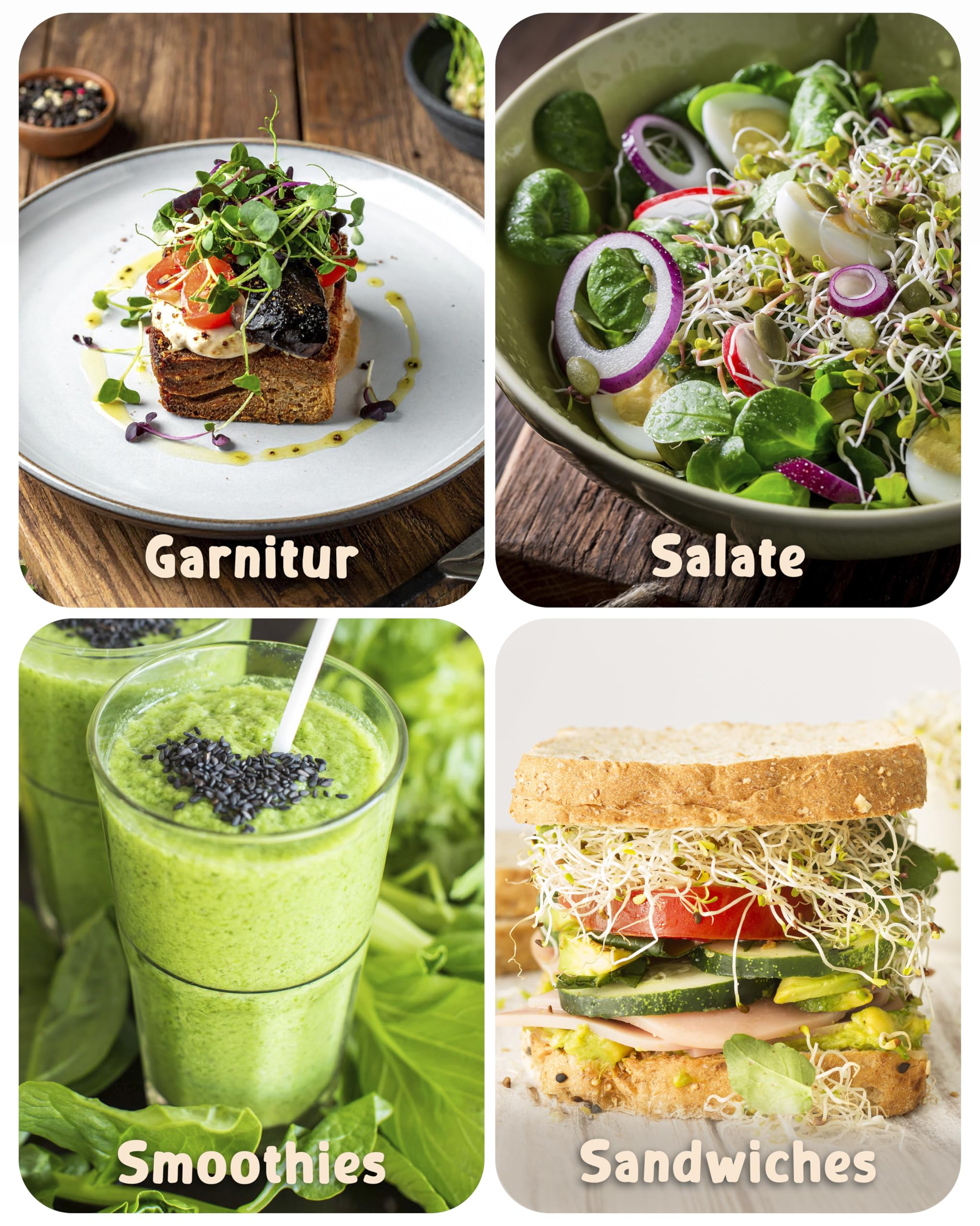 ZenGreens® - Bio Sprossensamen im 20er Set - Keimsprossensamen - leichte Zucht im Sprossenglas oder Anzuchtschale - Großpaket - 20 verschiedene Sorten - Microgreens Samen Mix - 20er Set