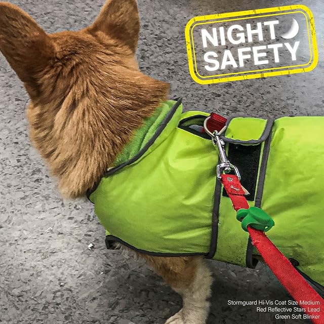 Foto 4 de 6 de Ancol Muddy Paws - Abrigo de protección contra tormentas para Todo Tipo de Clima, Alta Visibilidad, Talla XL…