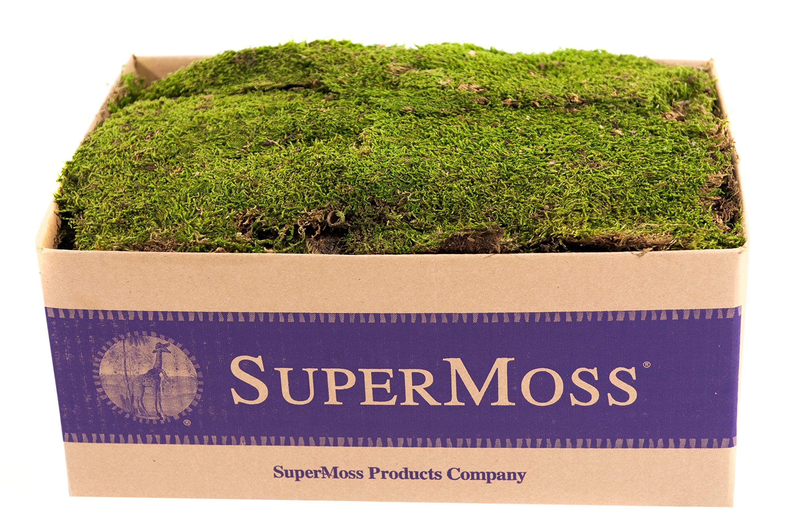 DECOALIVE Musgo Natural PREMIUM 1/2Kg Musgo Preservado para Decoración