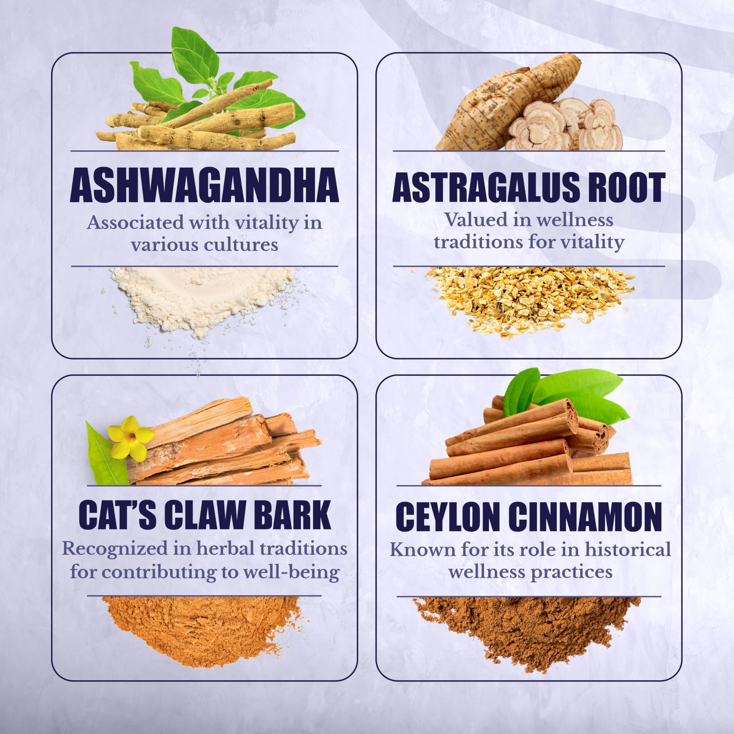 ActiveSpan | Longevity Supplements with Astragalus Root — Amazon image 7