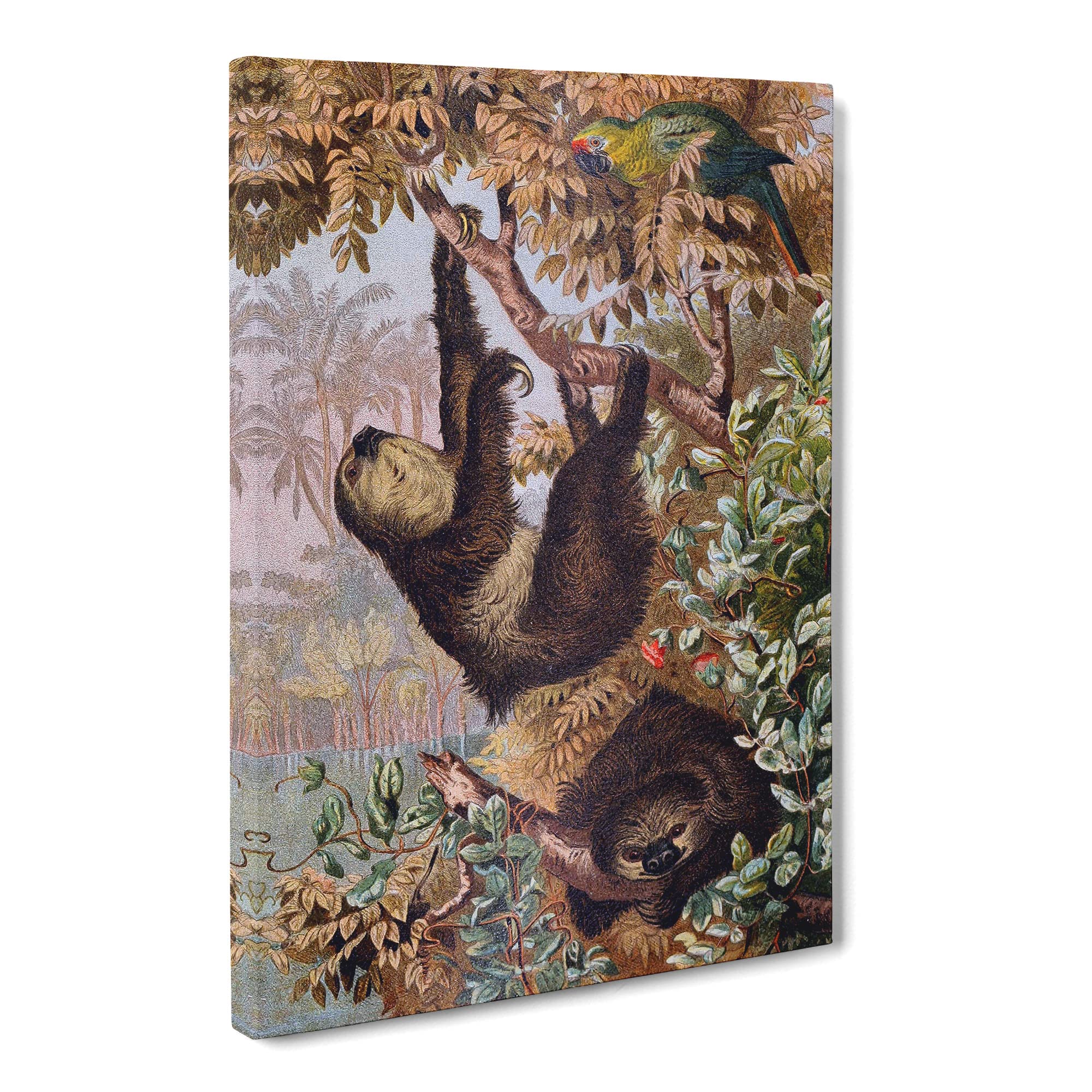 Brehms Tierlben Sloth Canvas Print, Mixed, 25L x 50W cm