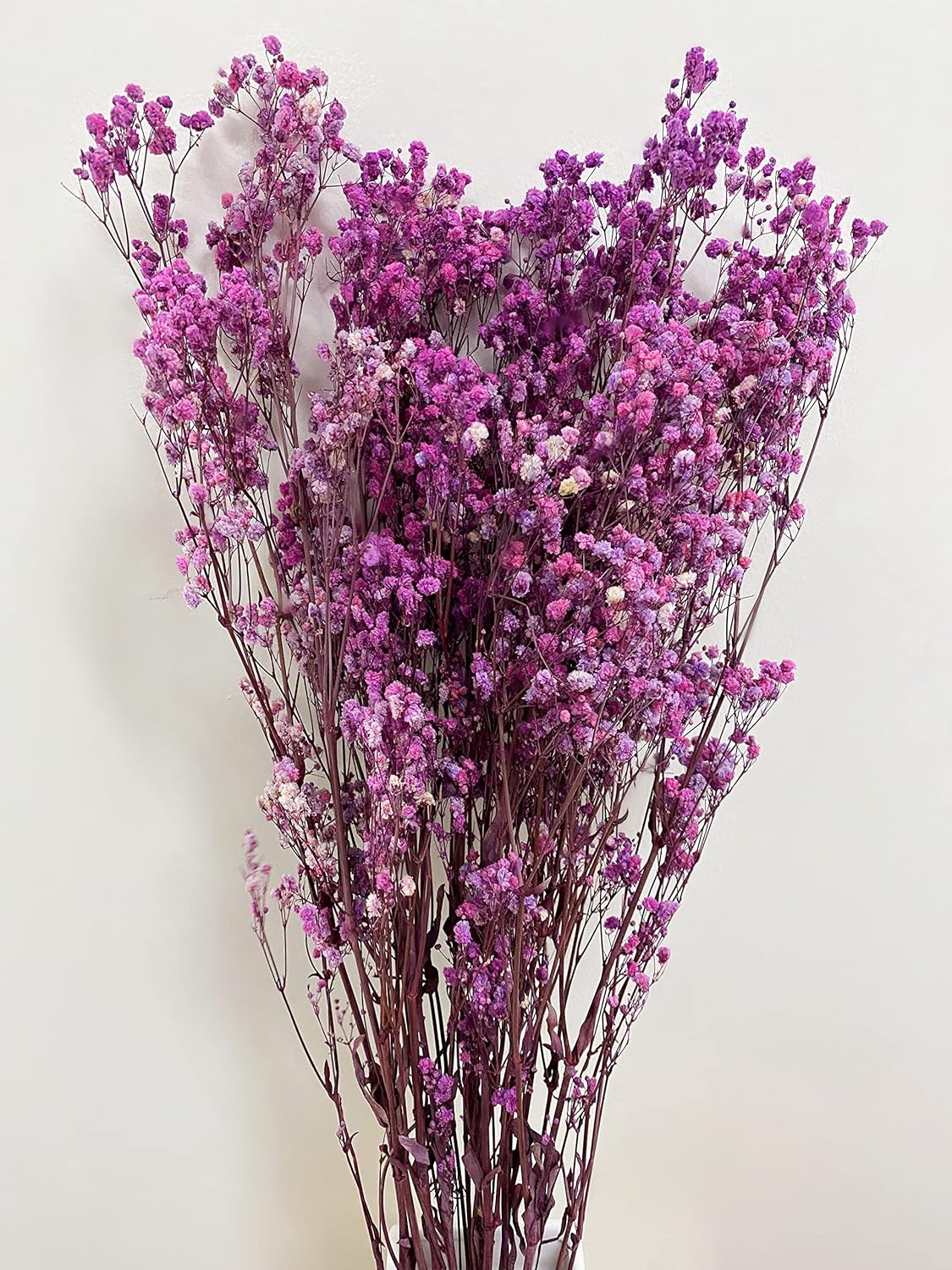CalCastle Craft Dried Flower Natural Babys Breath 27" H 4.5oz Large Bundle Gypsophila Perserved for Wedding Bouquet Home Décor (Purple)