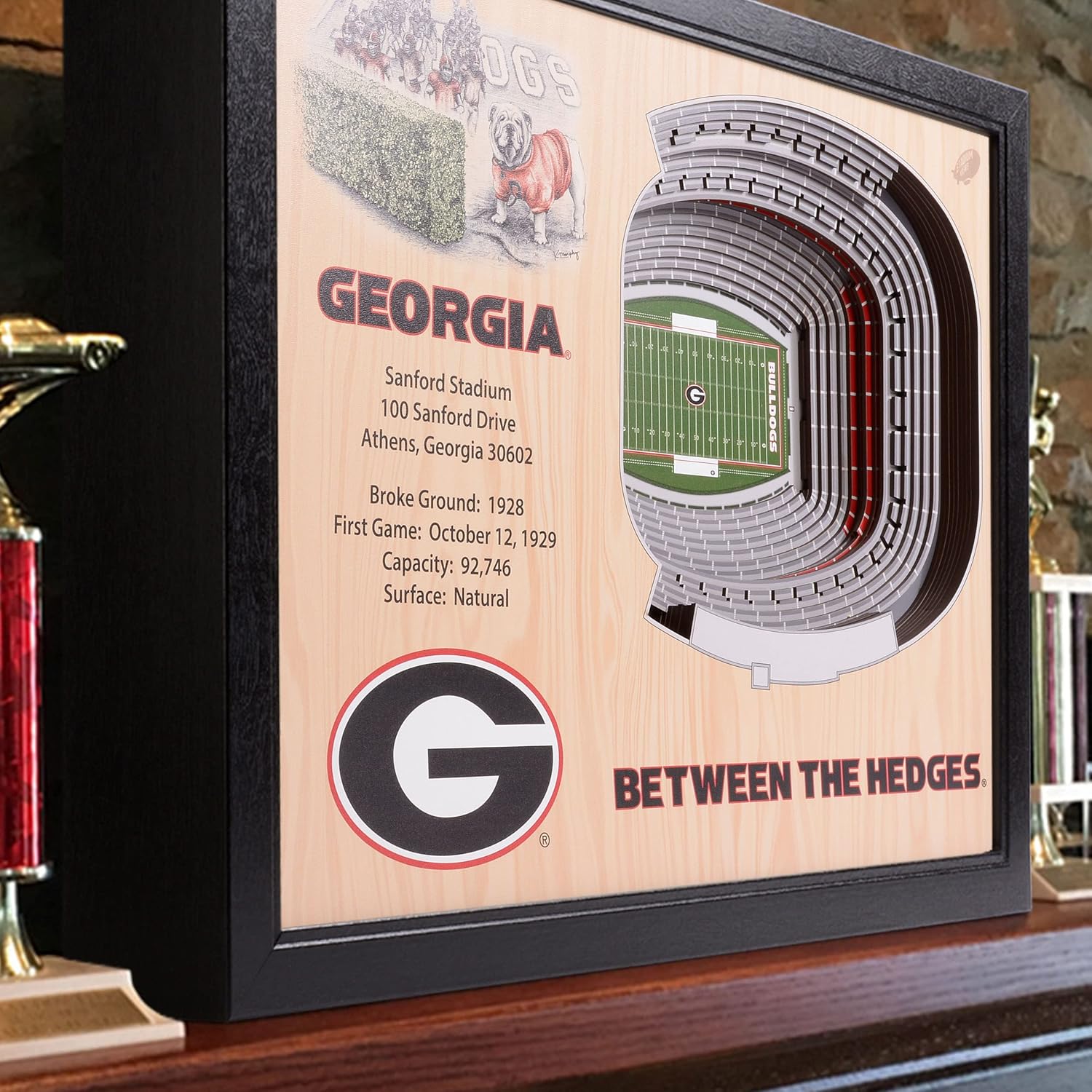 YouTheFan NCAA 25-Layer StadiumView Wall Art