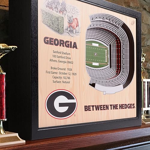 Miniatura 2 de YouTheFan NCAA - Arte de pared con vista al estadio de 25 capas