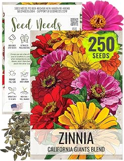 Seed Needs California Giants Zinnia Seeds - 250 Heirloom Seeds for Planting Zinnia elegans - Grow Annual Open Pollinated Flowers for a Butterfly Garden (1 Pack)