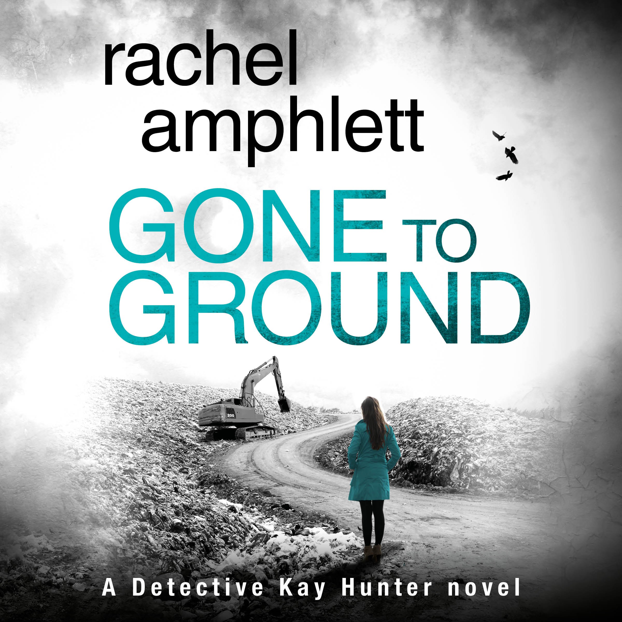 Cover art for Gone to Ground
