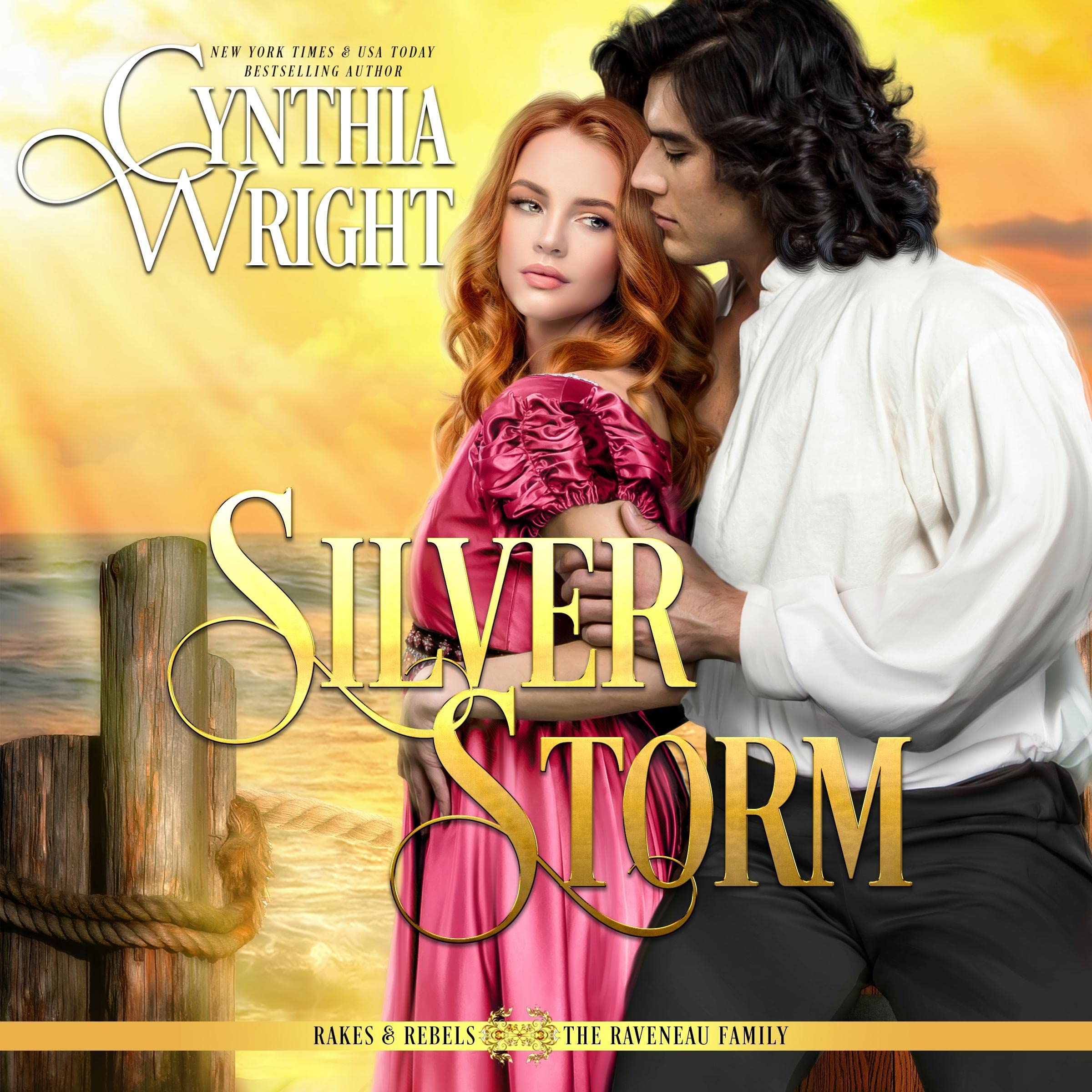Cover art for Silver Storm