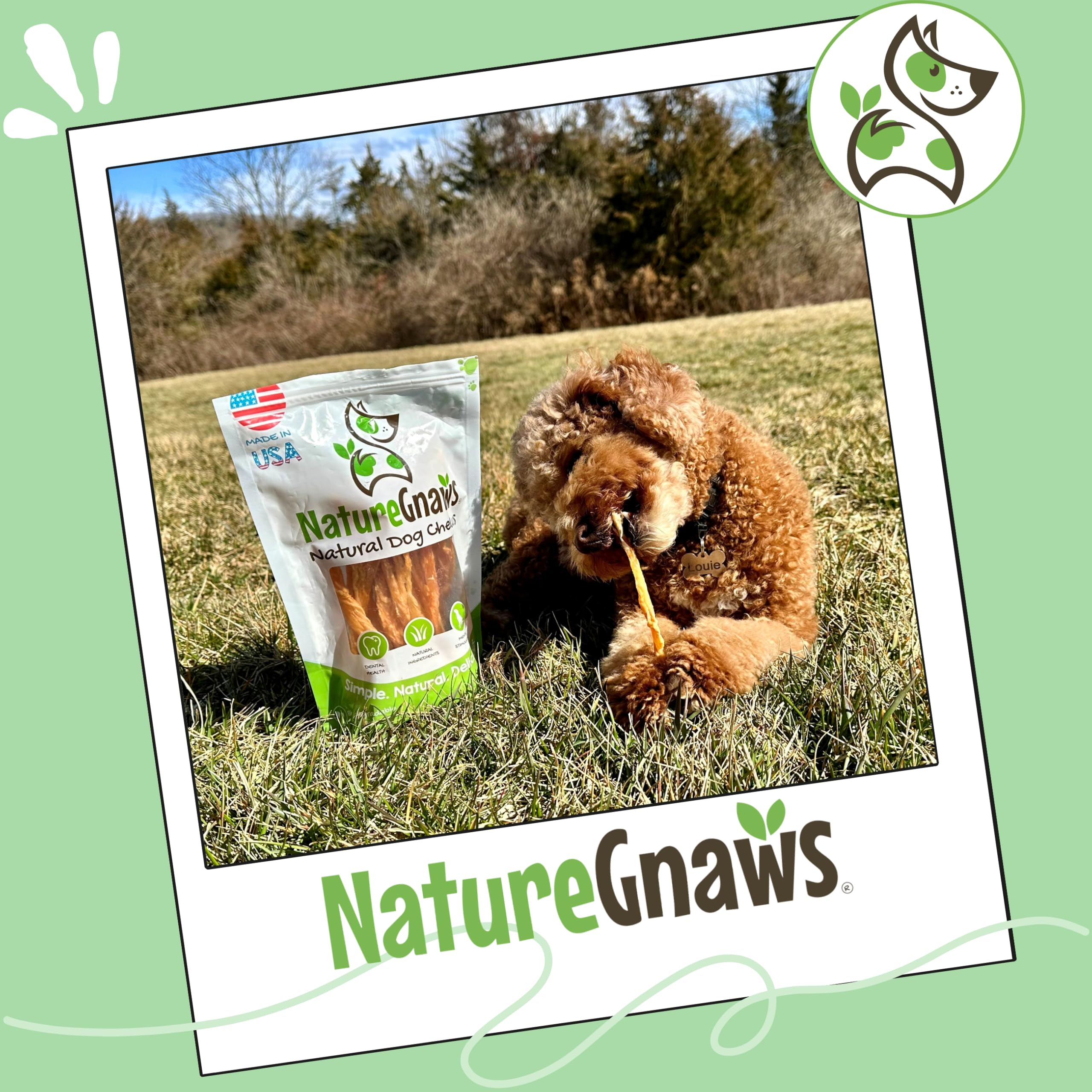 Nature Gnaws Tendones de Pavo para Perros (227 ml) – Delicioso Aperitivo de recompensa sin Cereales para Razas pequeñas, Medianas y Grandes – golosinas Naturales Perros