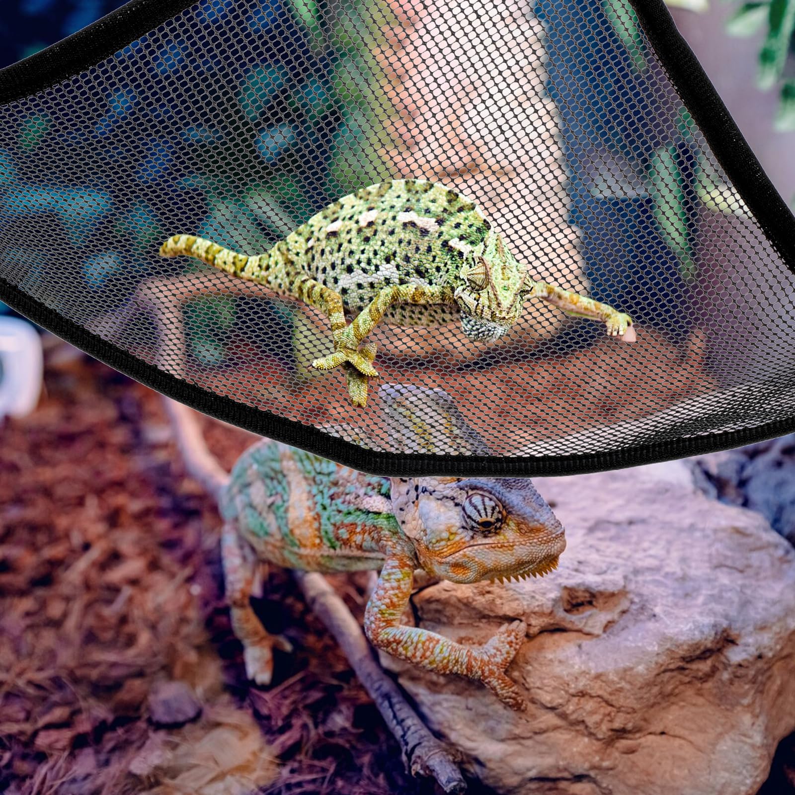 Lot de 2 hamacs en maille respirante pour reptile - Convient pour les dragons, lézards barbu, serpents, caméléons, geckos