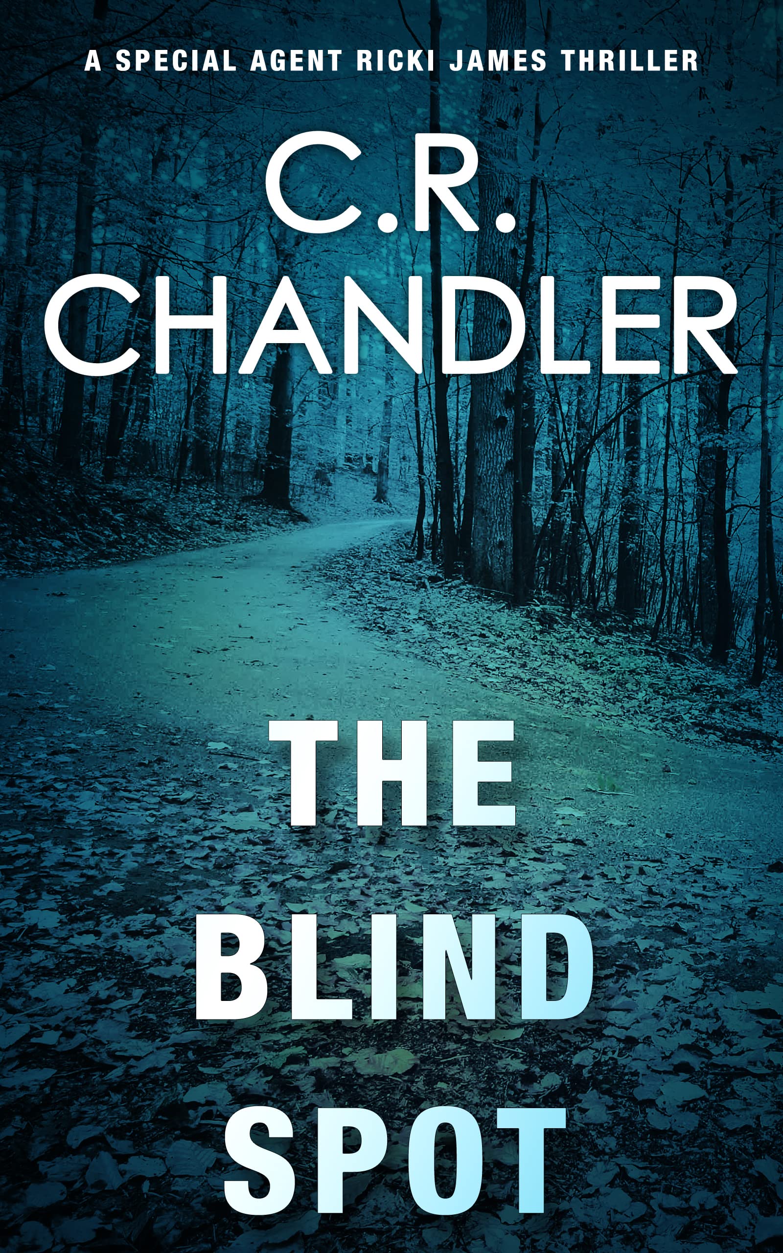 The Blind Spot (Special Agent Ricki James Book 9)