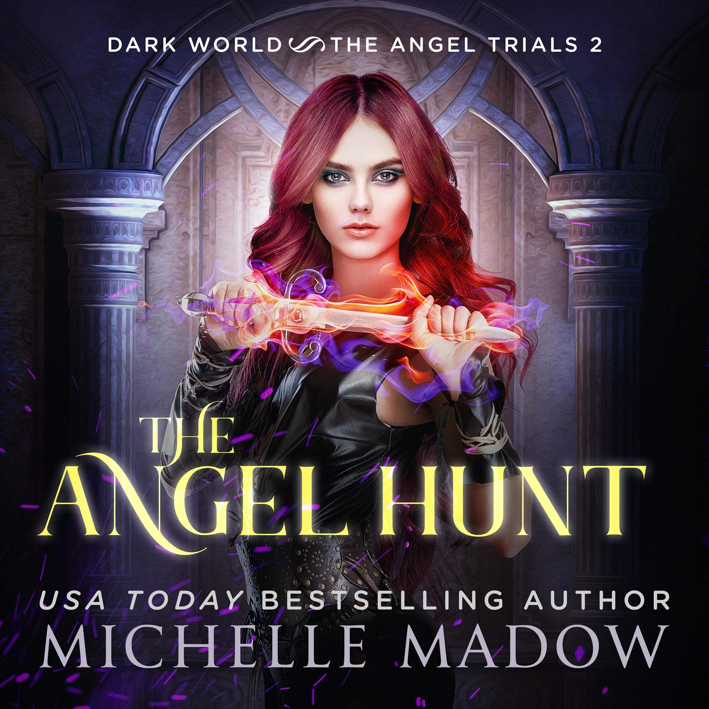 Cover art for The Angel Hunt