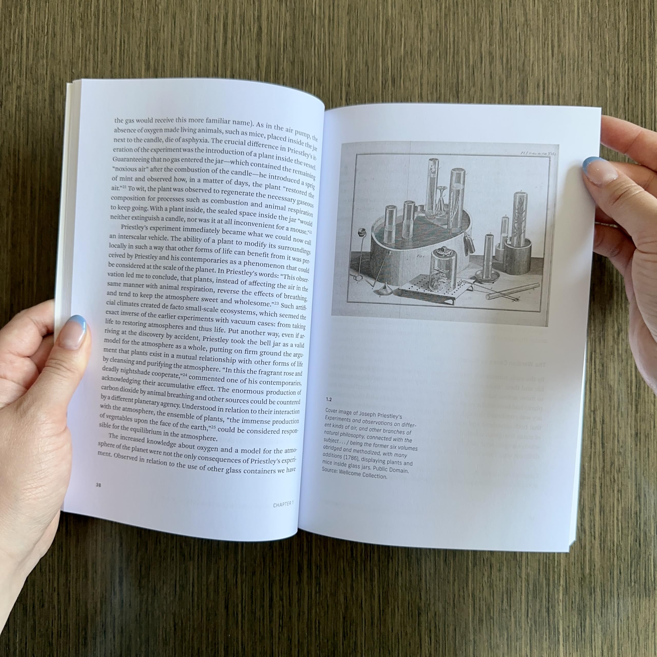 Living Surfaces: Images, Plants, and Environments of Media (Leonardo)