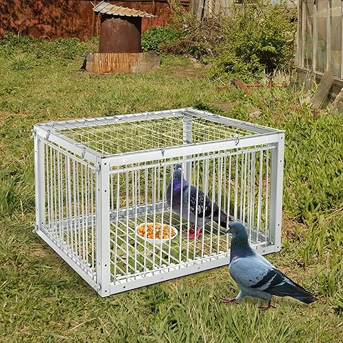 Miniatura 8 de Pigeon Trap with Escape-Proof Design, Pigeon Cage with One-Way Entry, Ideal Pigeon Coop, Chicken and Bird Trap Cage, Portable & Easy Assembly