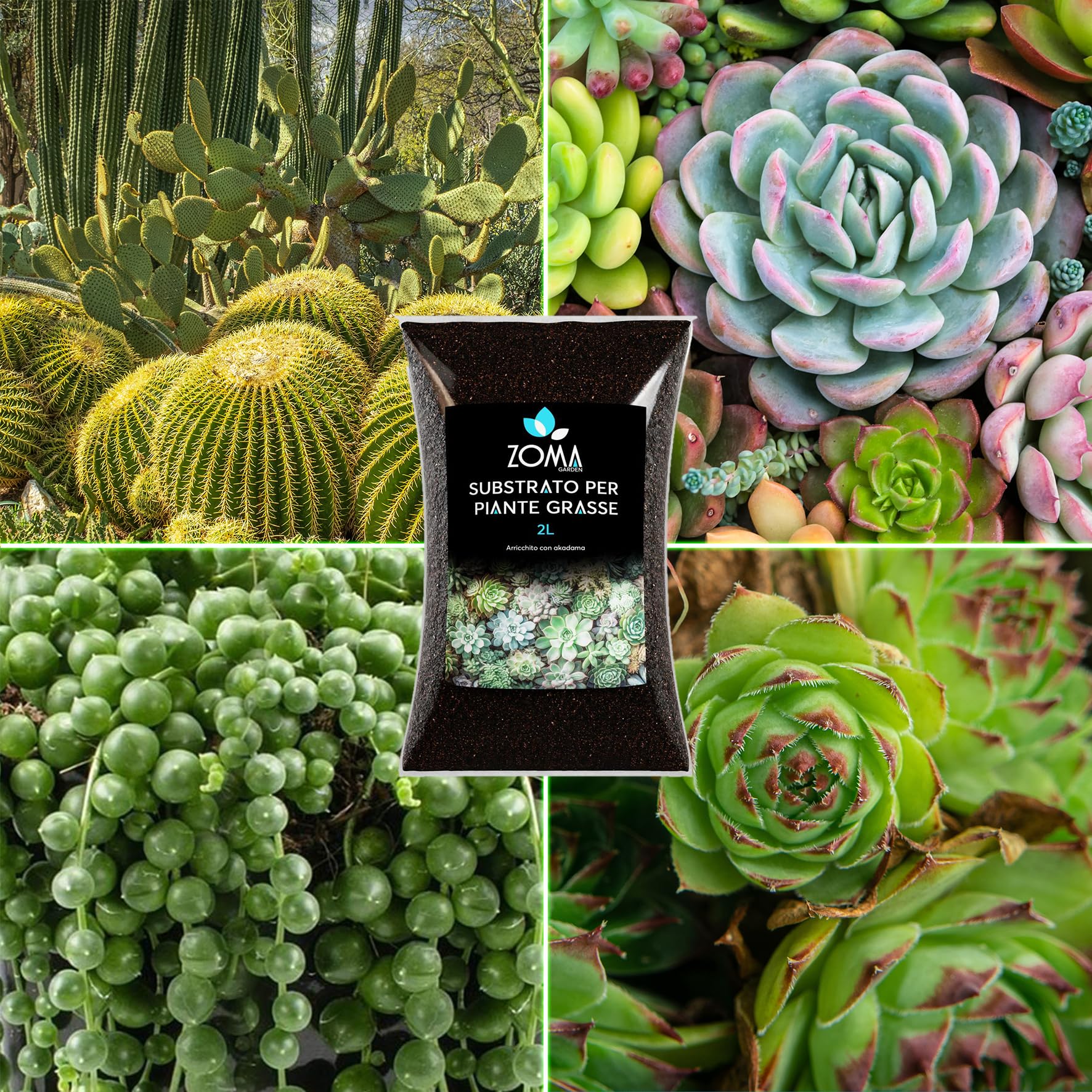 Terriccio Per Fragole E Piccoli Frutti Zomagarden - Ricco Di Humus E Sfagno, Ideale Per Vaso E Giardino - Foto 2