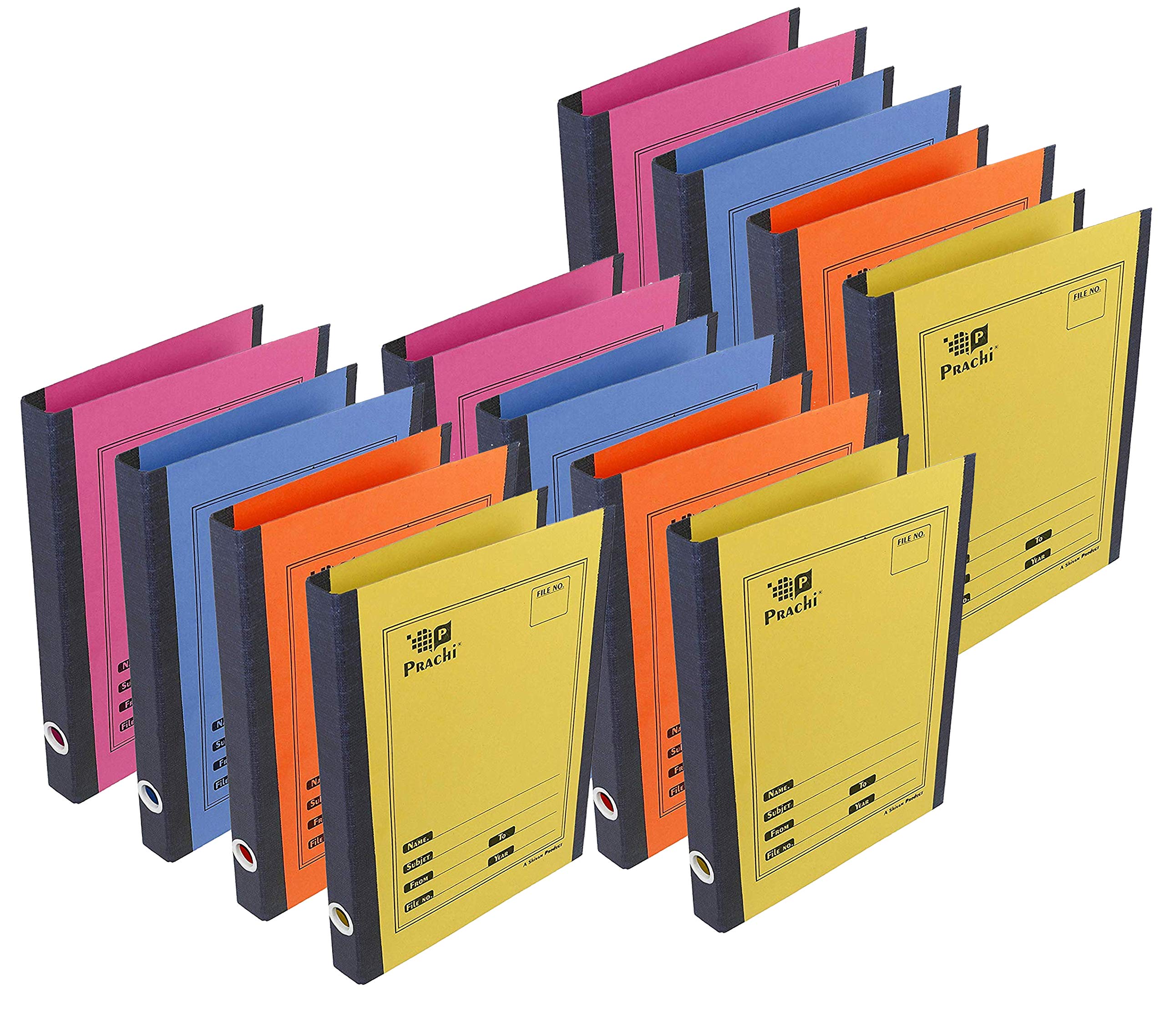 DAHSHA 12 Pack Spring Files A4 Size Paper Folder Cobra File