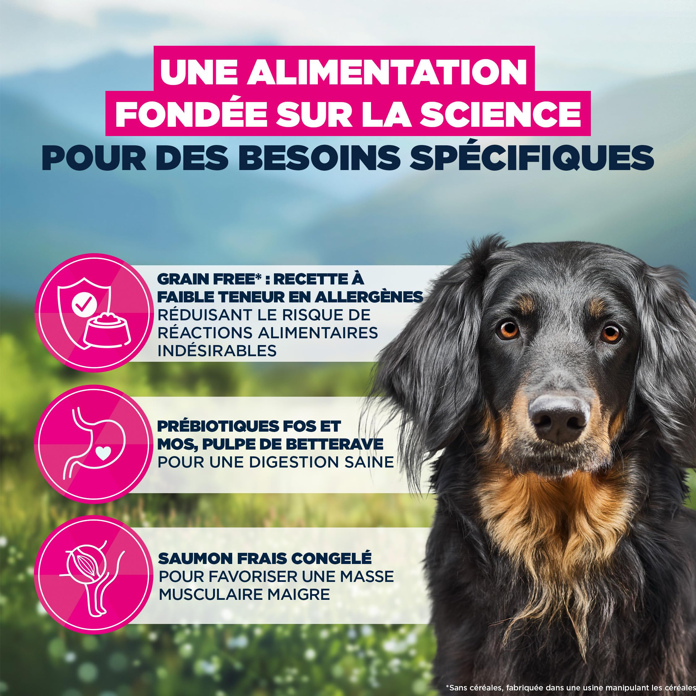 EUKANUBA Mono-Protéine Aliment pour Chiens au Saumon - Aliment Sec Special Care Uniquement à Base de Saumon, Source de protéines animales, Formule hypoallergénique, 12 kg