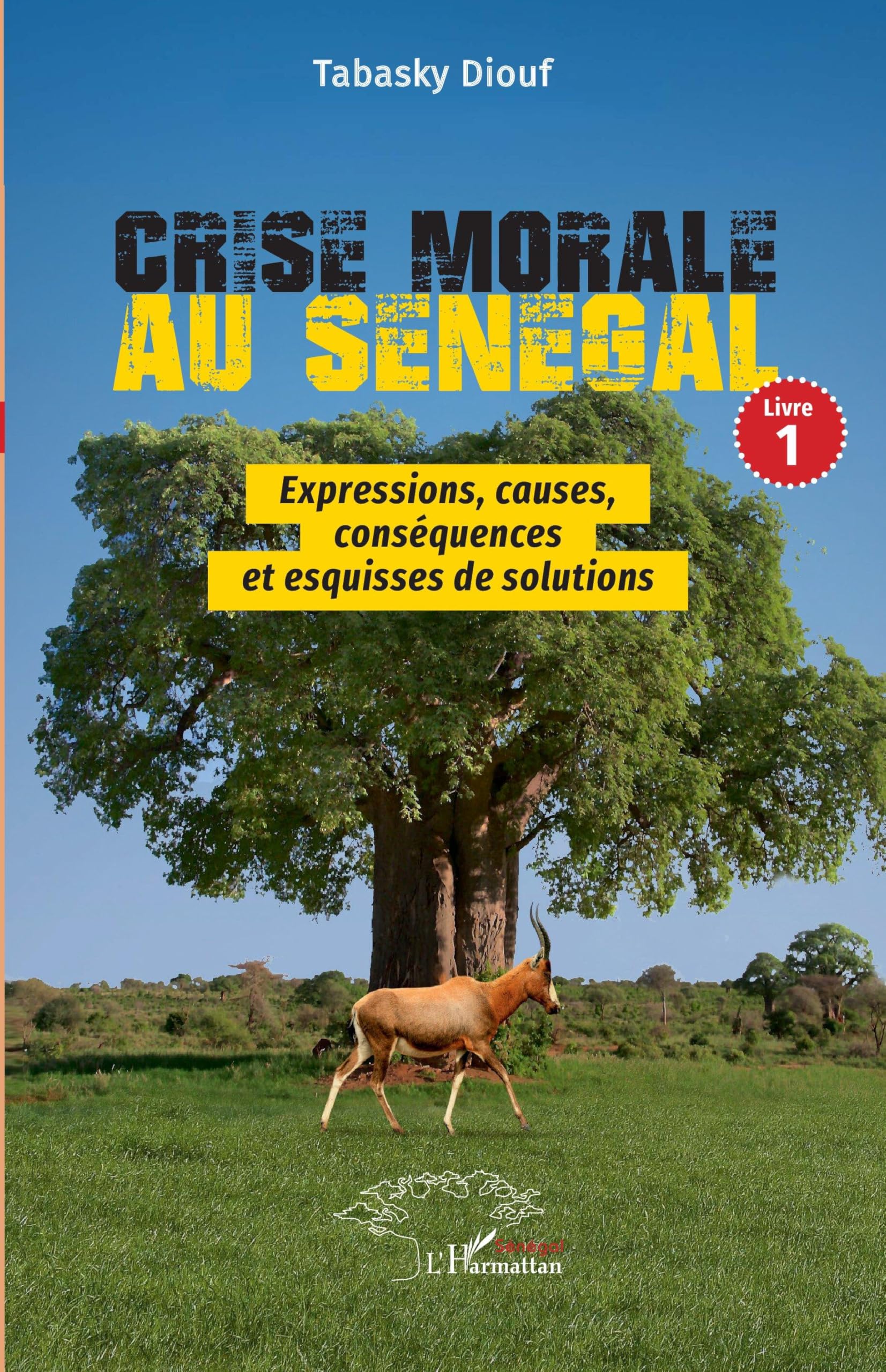 Crise morale au Sénégal: Livre 1 Expressions, causes, conséquences et esquisses de solutions