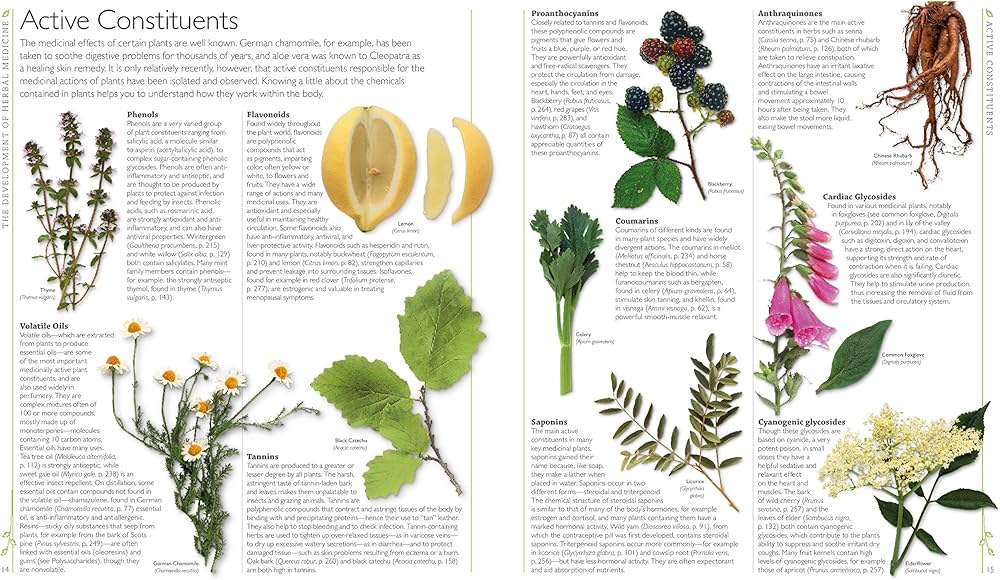 the Encyclopedia of Medicinal Plants  洋書 The encyclopedia of medicinal plants : Chevallier, Andrew