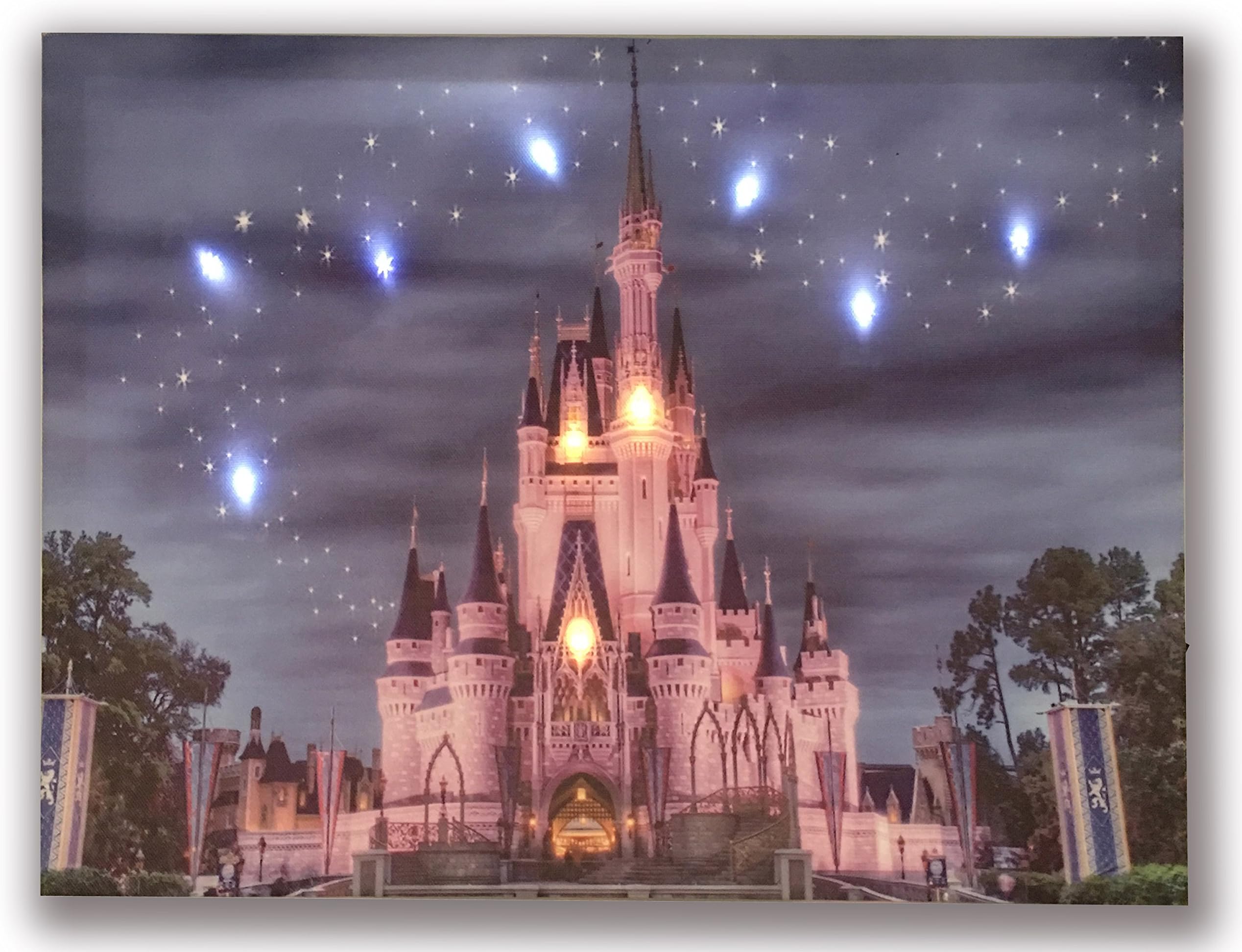 Hong Art- Lighted Canvas Prints with 9 LED Lights - Disney Resort Photo Castle Picture- Wall Art for Home Decor-12x16 Inch HA-17-CP-052