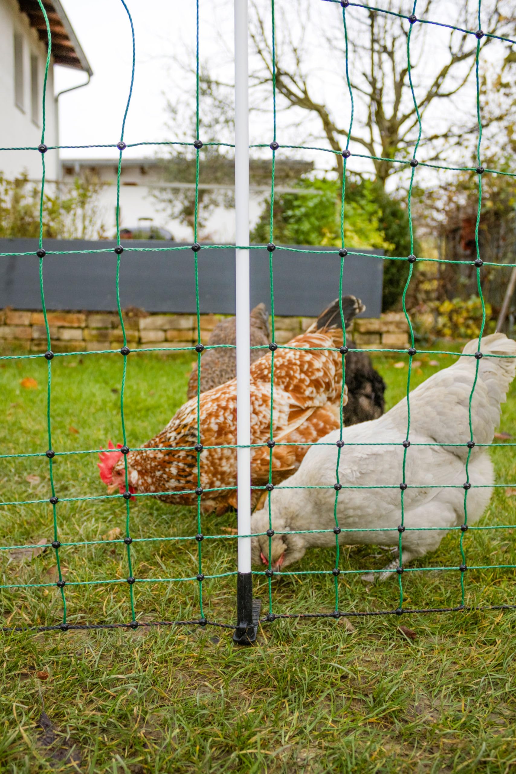 AKO PoultryNet Maxi, Geflügelnetz, elektrifizierbar, Doppelspitze, 25m Länge x 170cm Höhe, grün, 11 Pfähle, für Wildabwehr, 3 Jahre Garantie auf UV-Stabilität; 292340