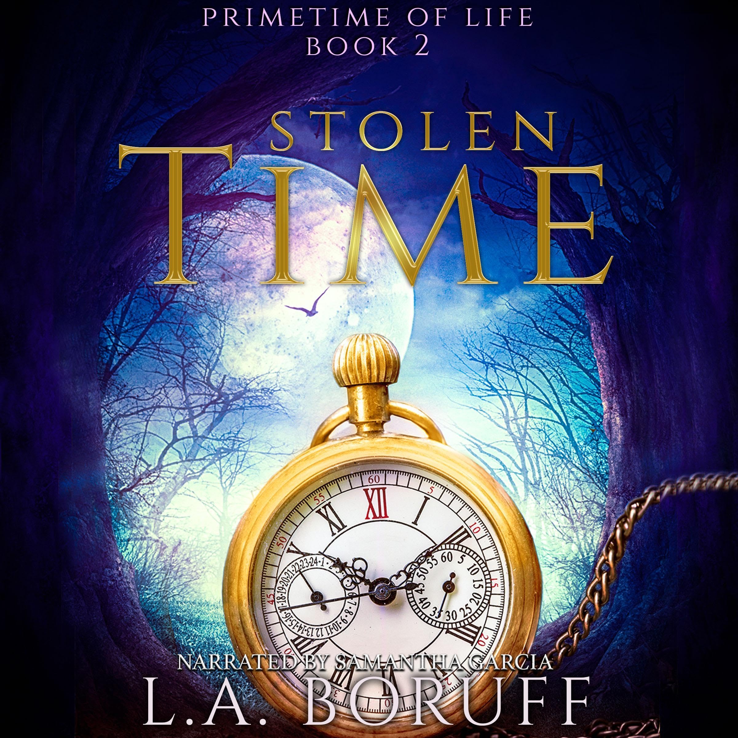 Cover art for Stolen Time