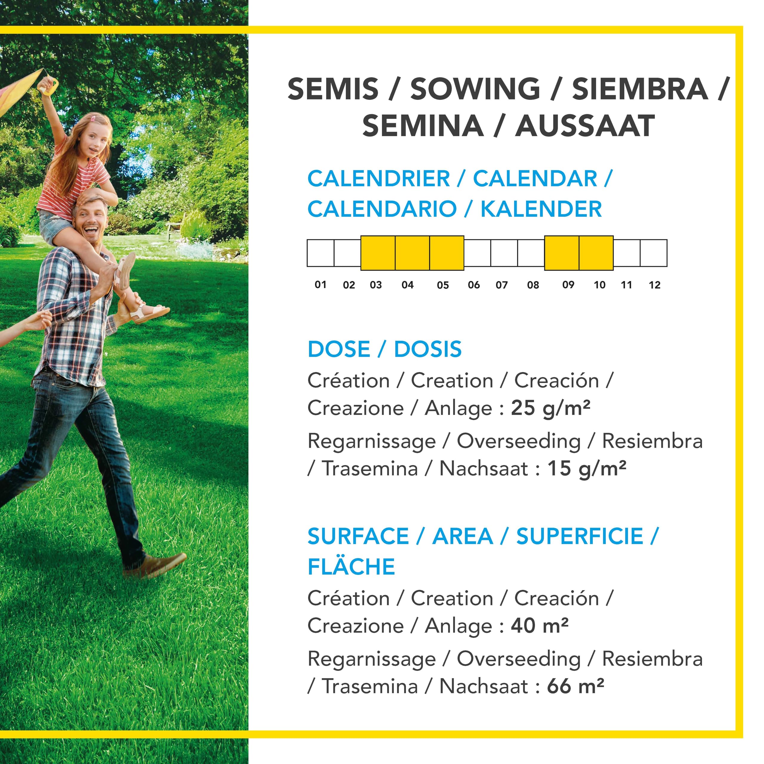 Barenbrug - Césped Sombra y Sol - Alto Rendimiento en Zonas Sombrías - Apto para Zonas Soleadas - Fino y Denso - Ideal para Reverdecir Pequeños Jardines Urbanos - Fabricado en Francia - 1 Kg