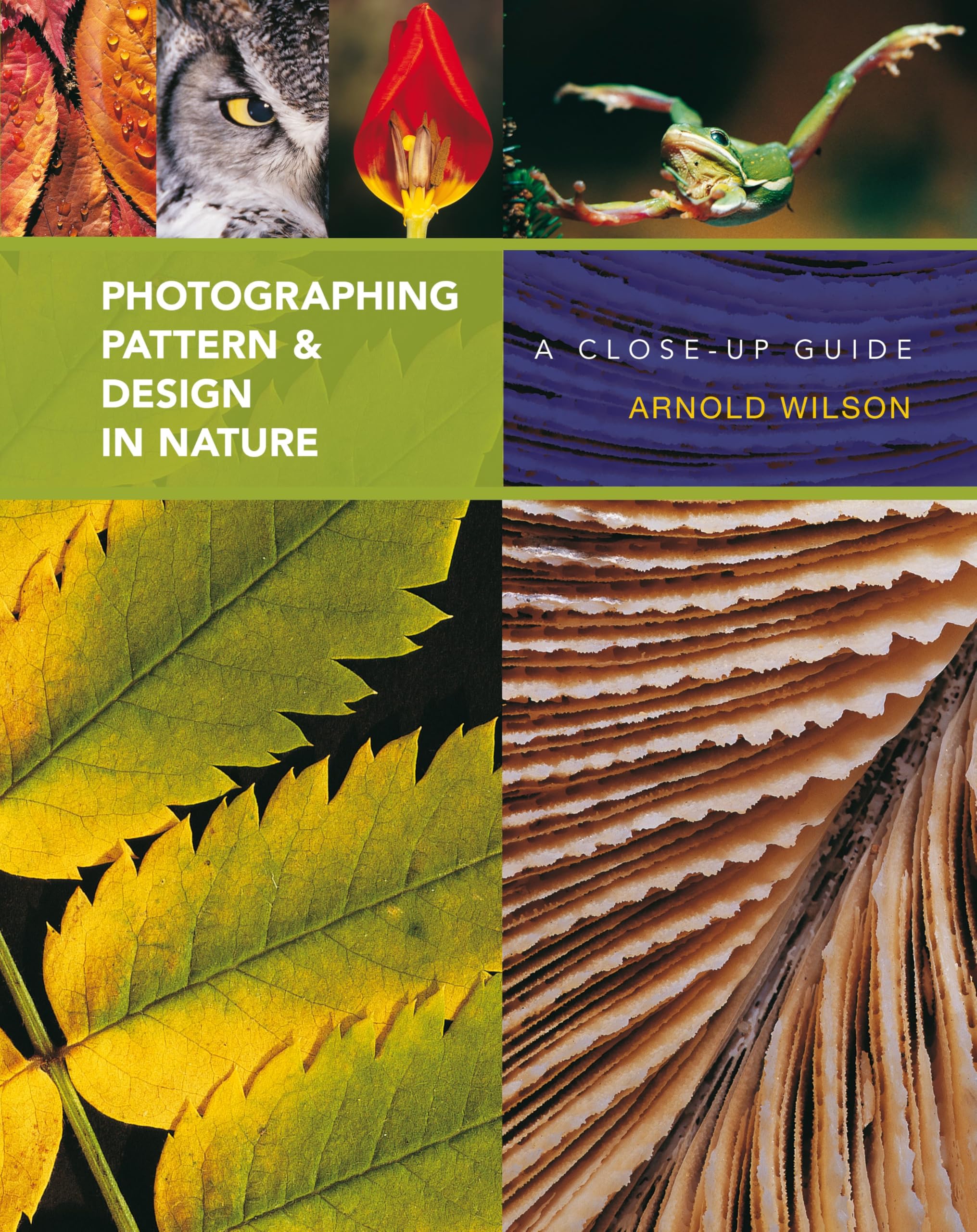Buy Photographing Pattern and Design in Nature: A Close Up Guide — BookShops.in