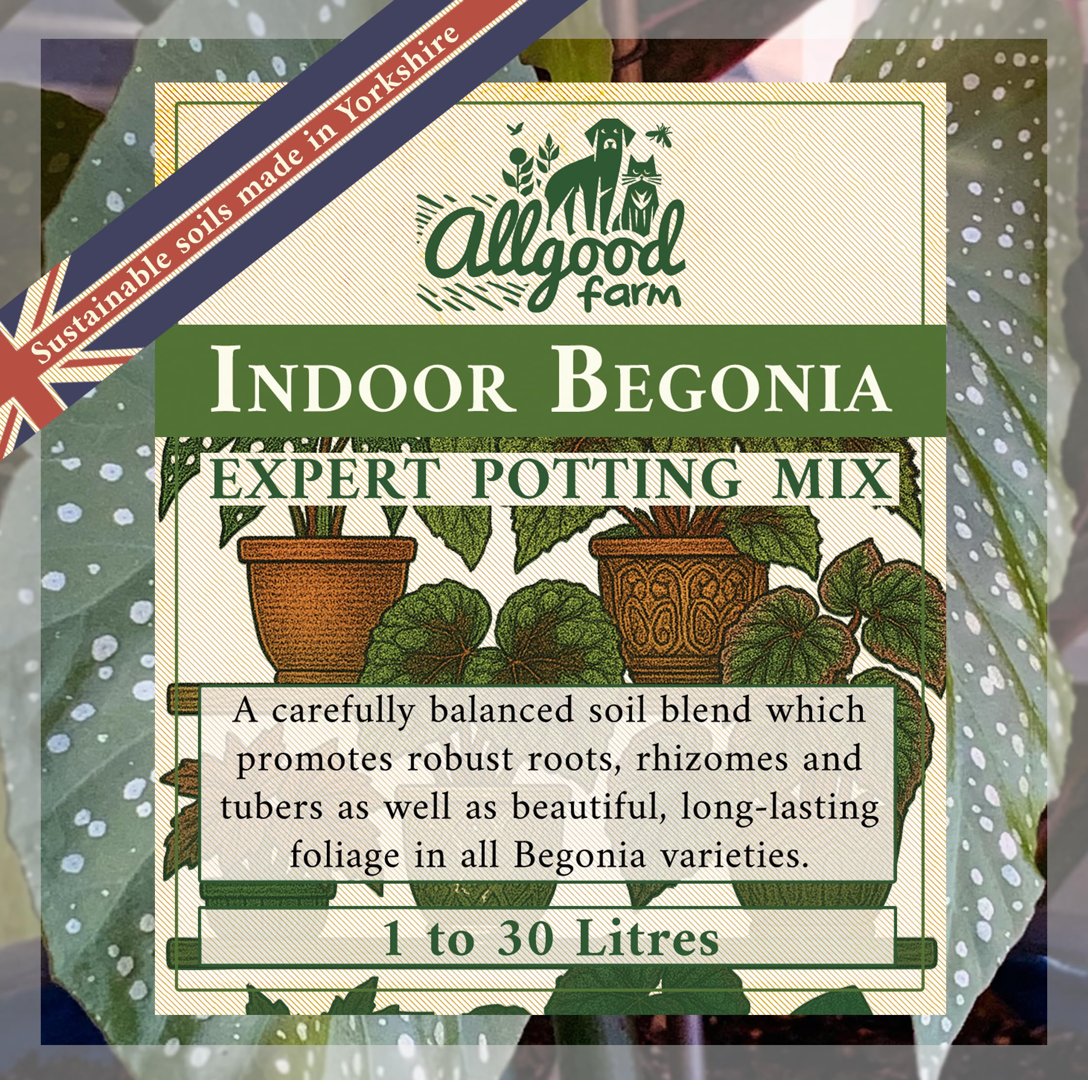 Allgood Farm Indoor Begonia Soil - Expert Potting Soil Mix for Begonia Maculata, Rex, Metallica, Pavonina (1 Litre)