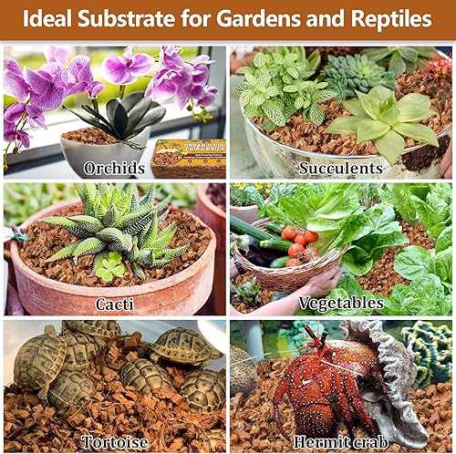 Miniatura 14 de Legigo Paquete de 6 chips de coco para plantas, 6.6 libras, 100% orgánico de chips de coco para macetas con bajo equilibrio EC y PH, sustrato de 6