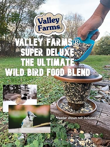 Miniatura 7 de Super Deluxe Wild Bird Food - La mejor mezcla de semillas de aves silvestres (15 libras)