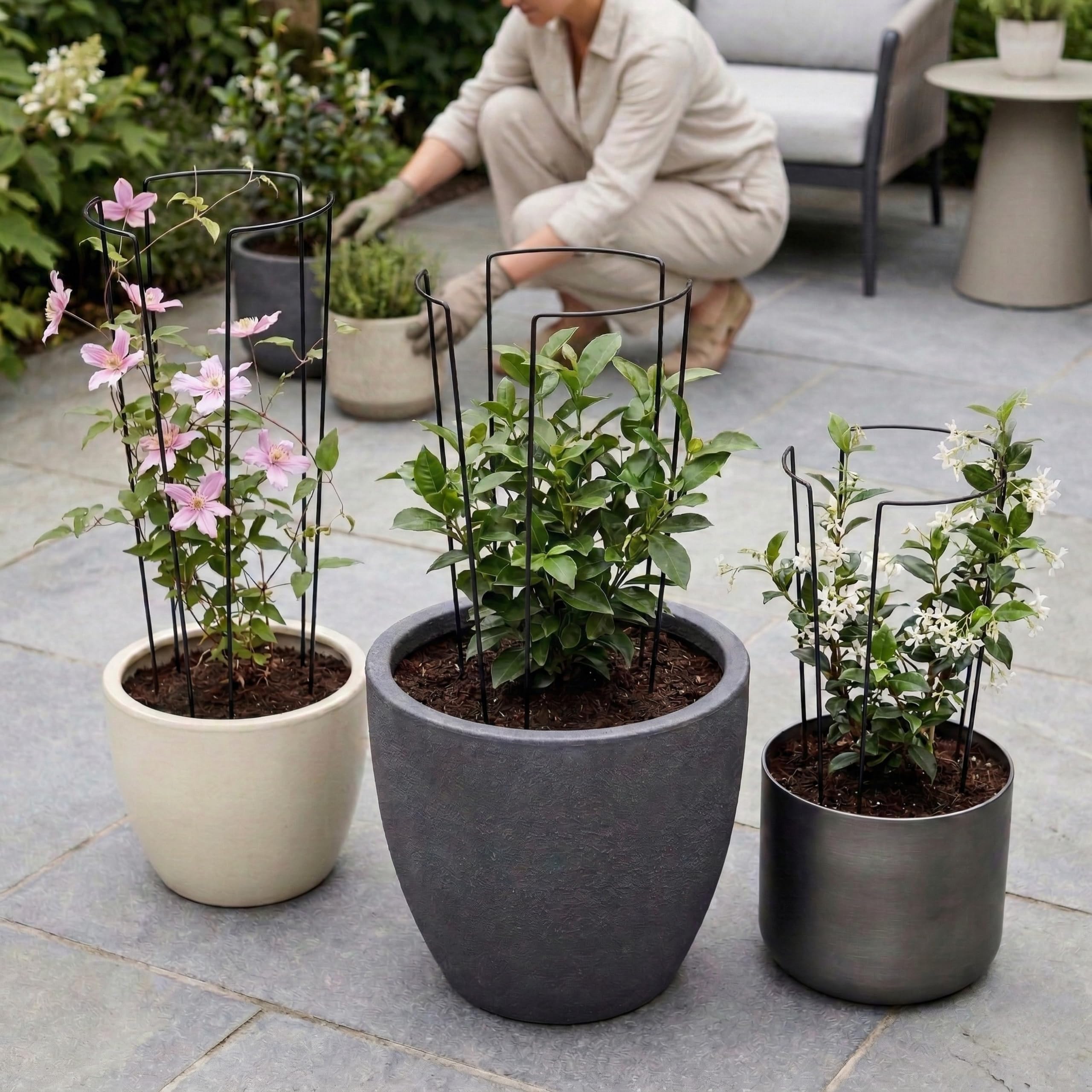 Pflanzenstütze Metall 3er Set – Halbrunde Staudenhalter für Pfingstrosen Hortensien Rosen und Stauden – Extra Stabile Garten Pflanzenstützen mit Schutzlackierung – EU Qualität (Schwarz, 45cm)