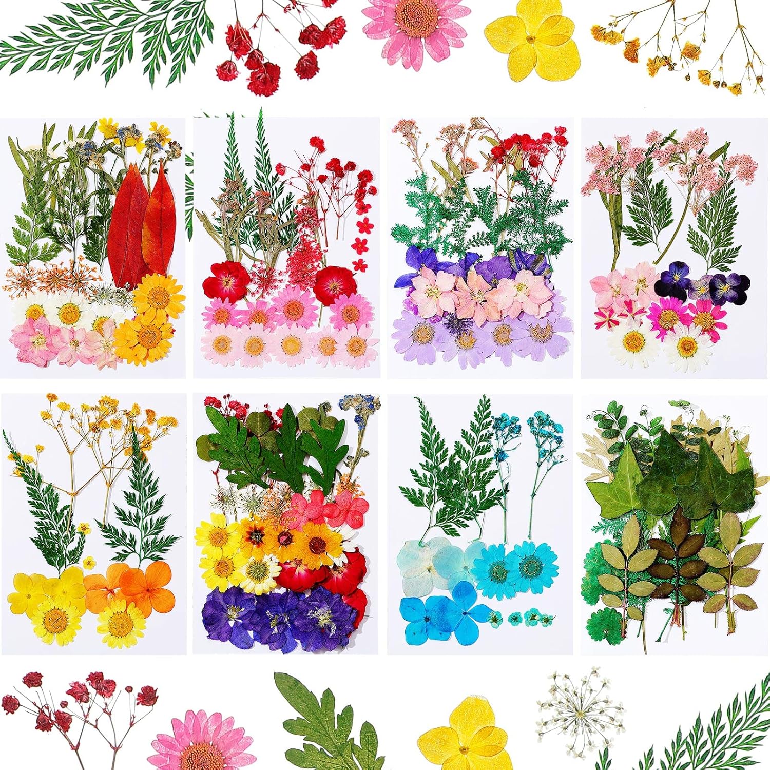 Nuanchu 200 Pcs Dried Pressed Flowers for Resin Natural Real Pressed Flowers Leaves Bulk for Crafts DIY Art Jewelry Making Floral Decors(Multicolor)