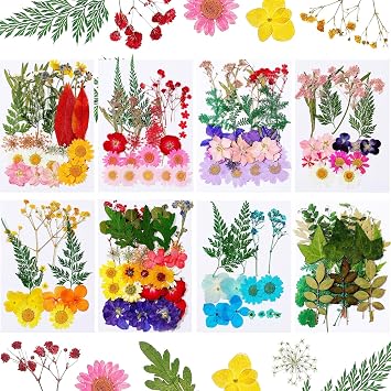 Nuanchu 200 Pcs Dried Pressed Flowers for Resin Natural Real Pressed Flowers Leaves Bulk for Crafts DIY Art Jewelry Making Floral DecorsMulticolor
