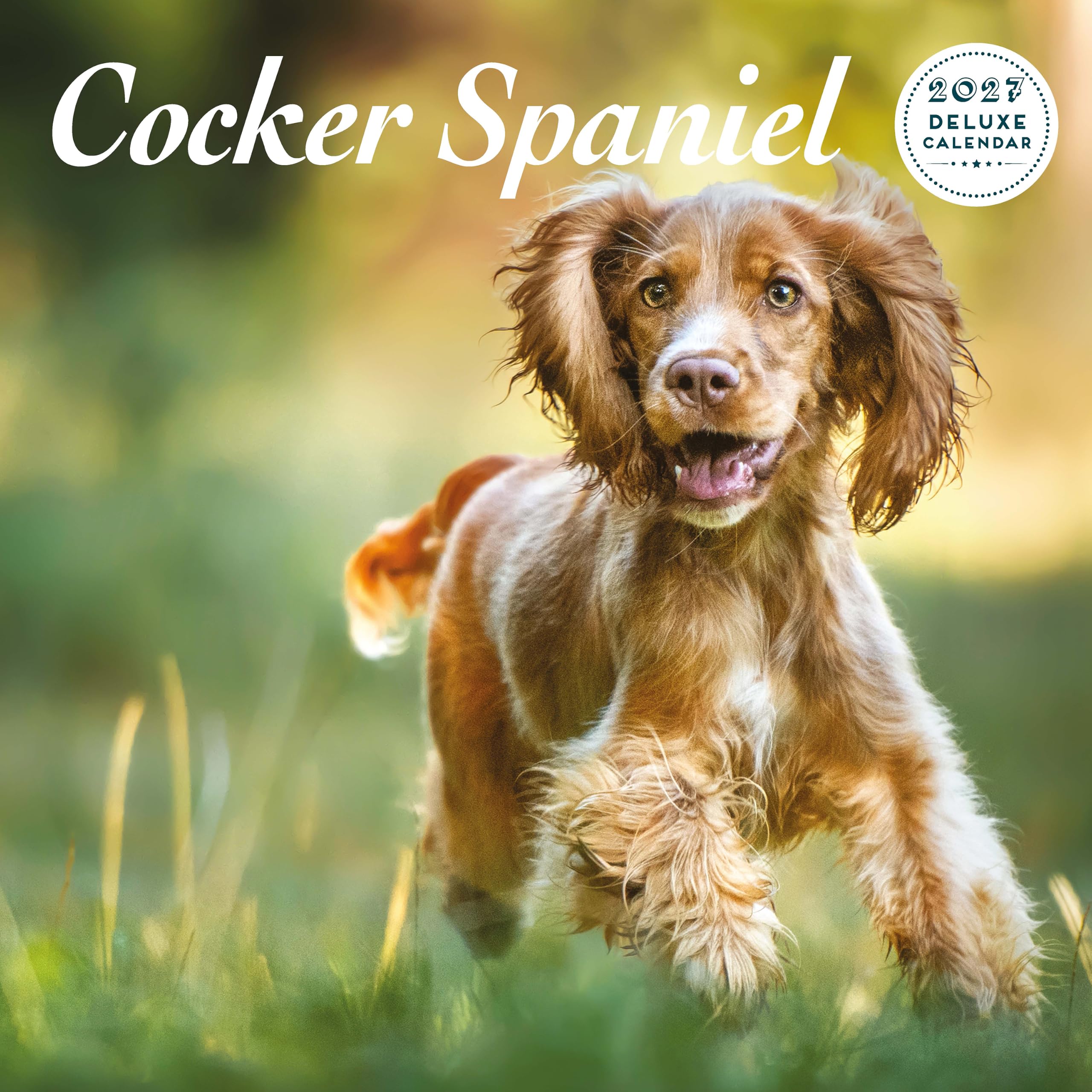 Cocker Spaniel 2027 Deluxe Calendar