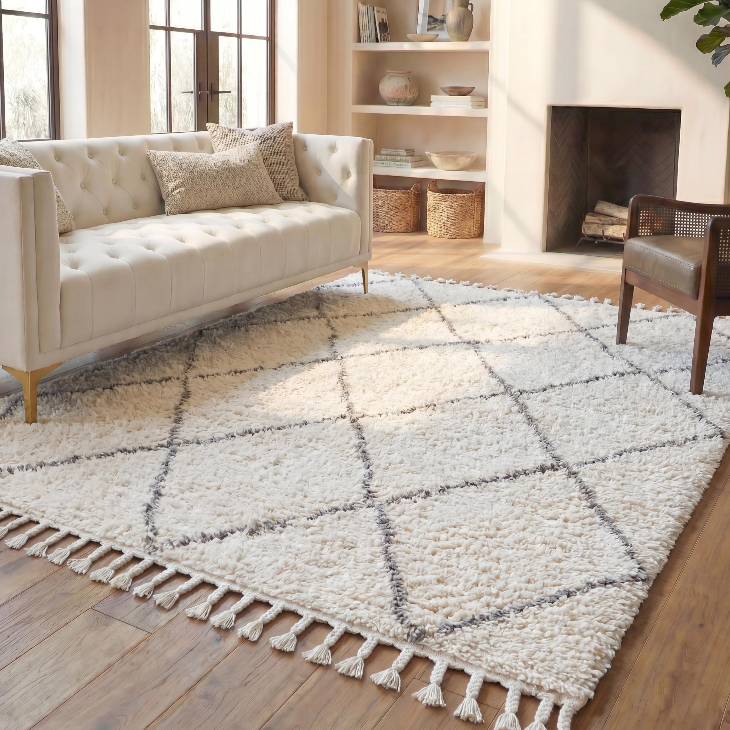 Amazon.com: SAFAVIEH Area Rug 8x10 - Casablanca Shag Collection