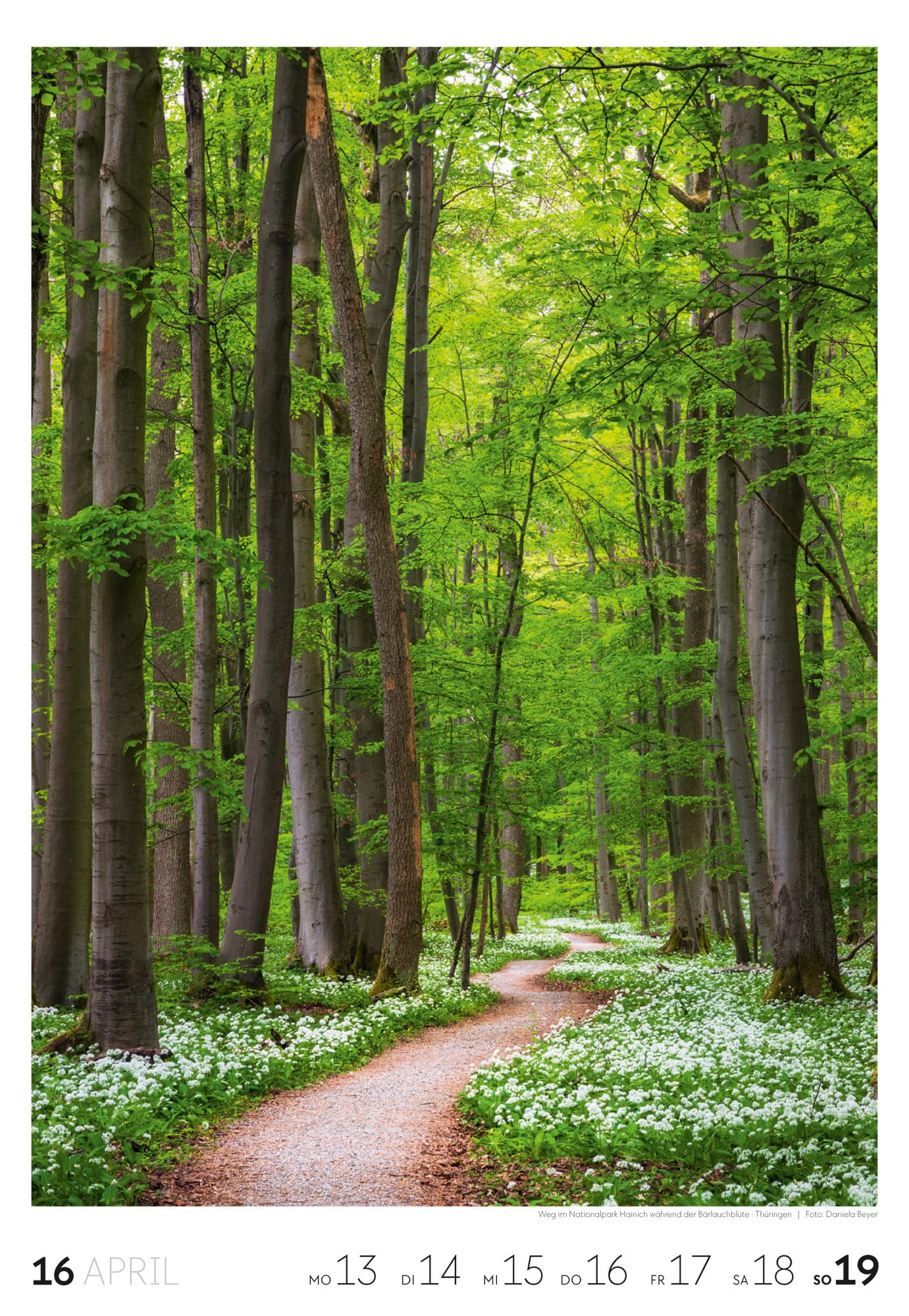 Natur Wochenkalender 2026 | Natur-Kalender mit 53 großformatigen Bildern im Hochformat (29x42 cm) | Heimische Flora und Fauna