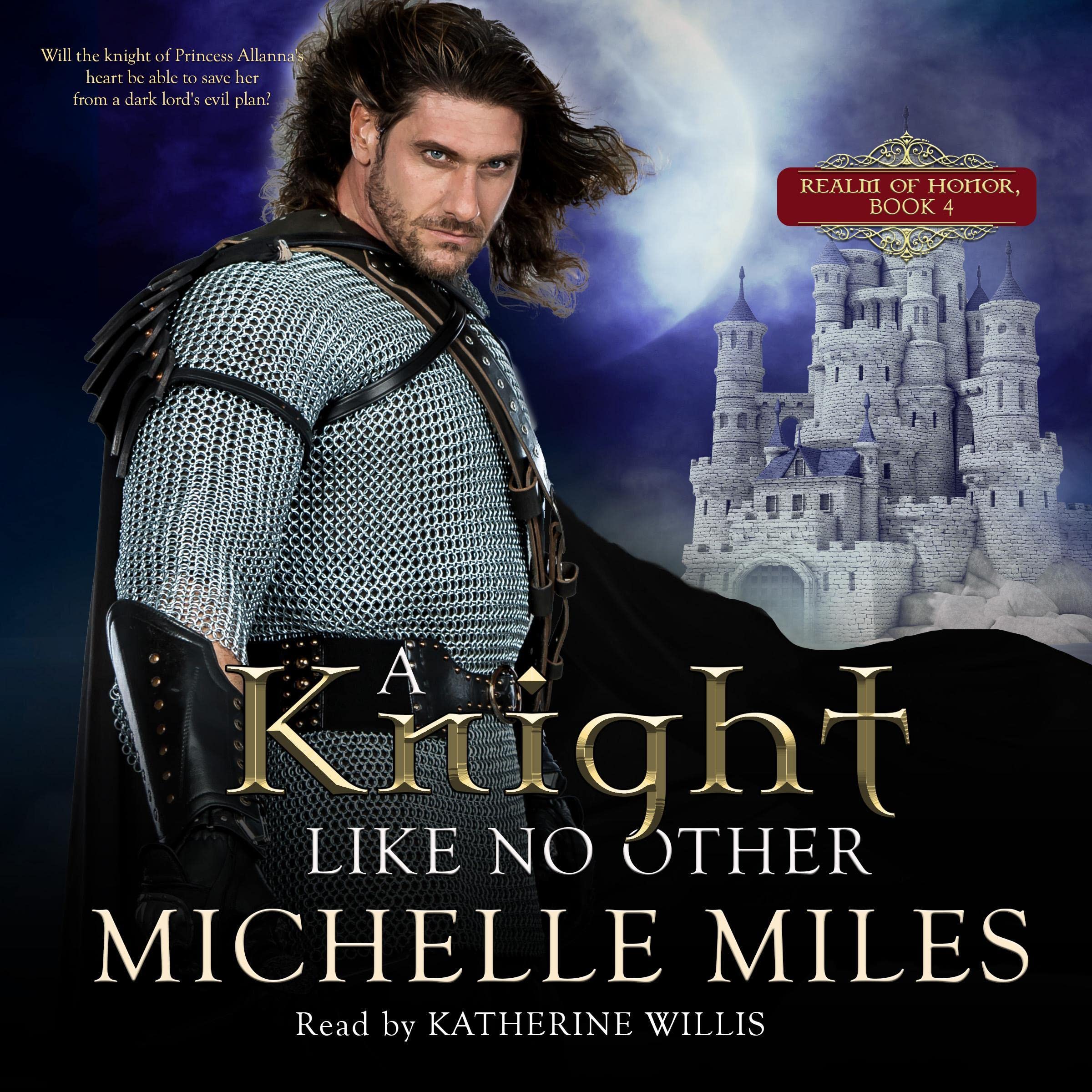 Cover art for A Knight Like No Other